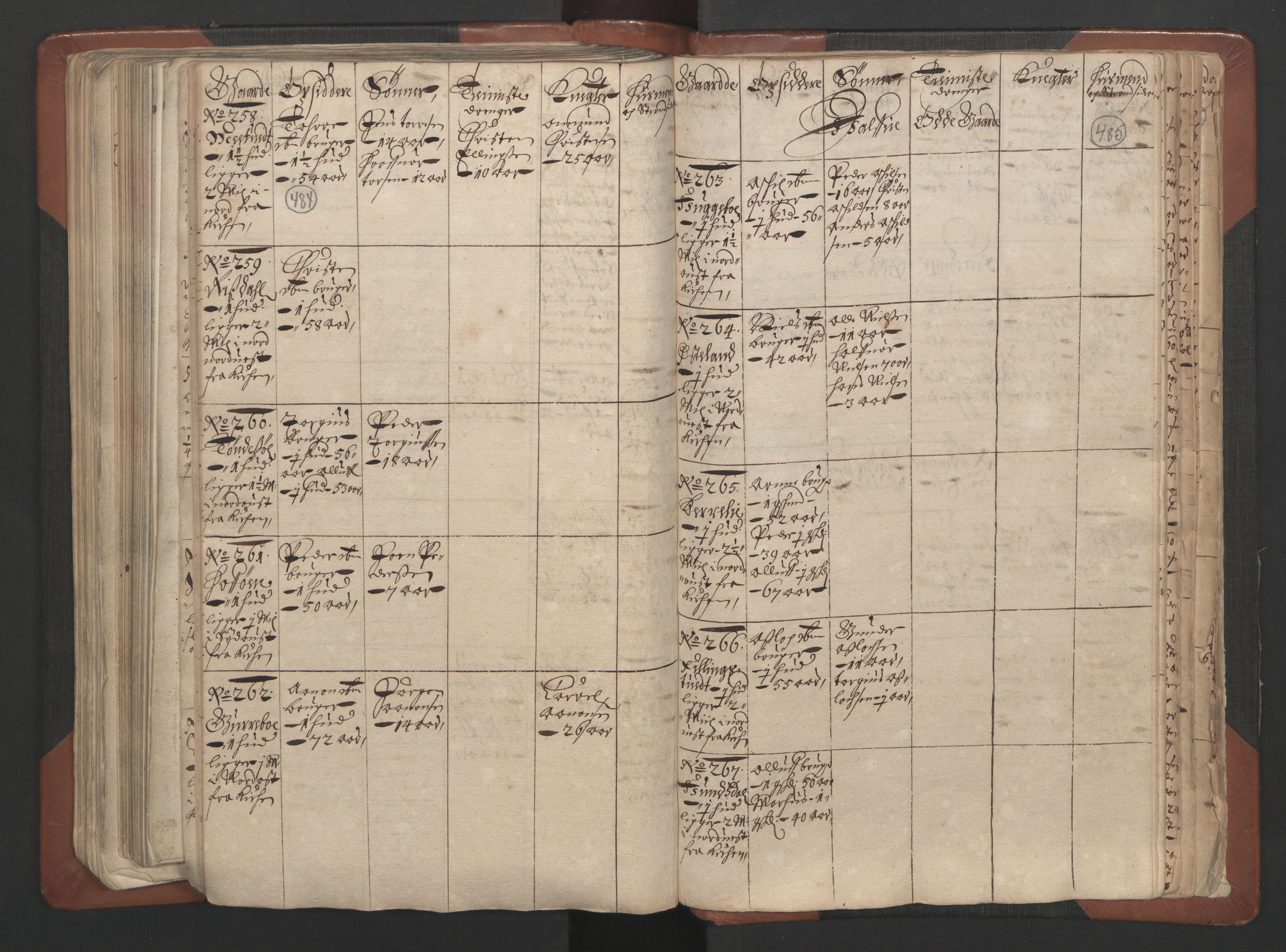 RA, Bailiff's Census 1664-1666, no. 7: Nedenes fogderi, 1664-1666, p. 484-485