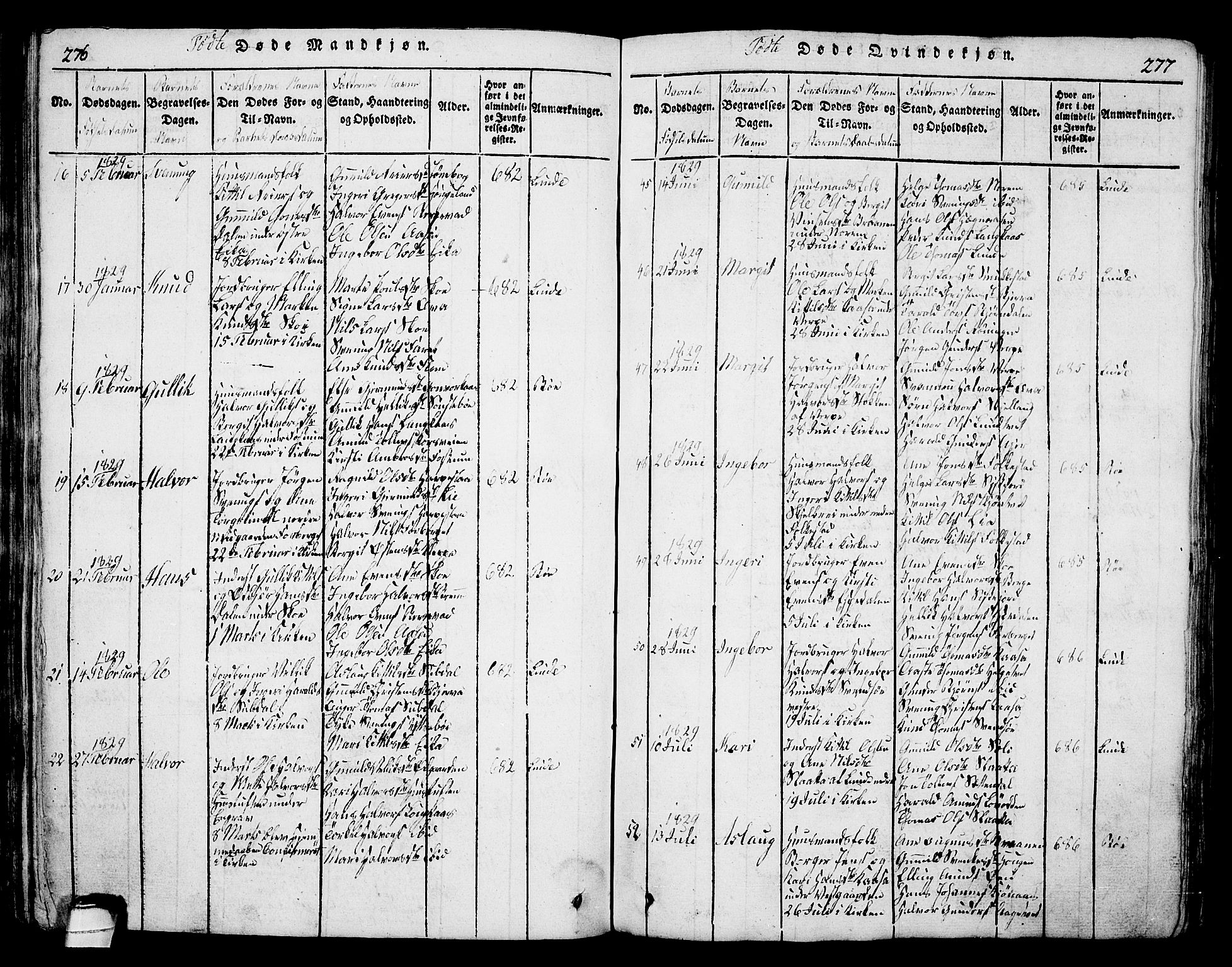 Bø kirkebøker, AV/SAKO-A-257/G/Ga/L0001: Parish register (copy) no. 1, 1815-1831, p. 276-277