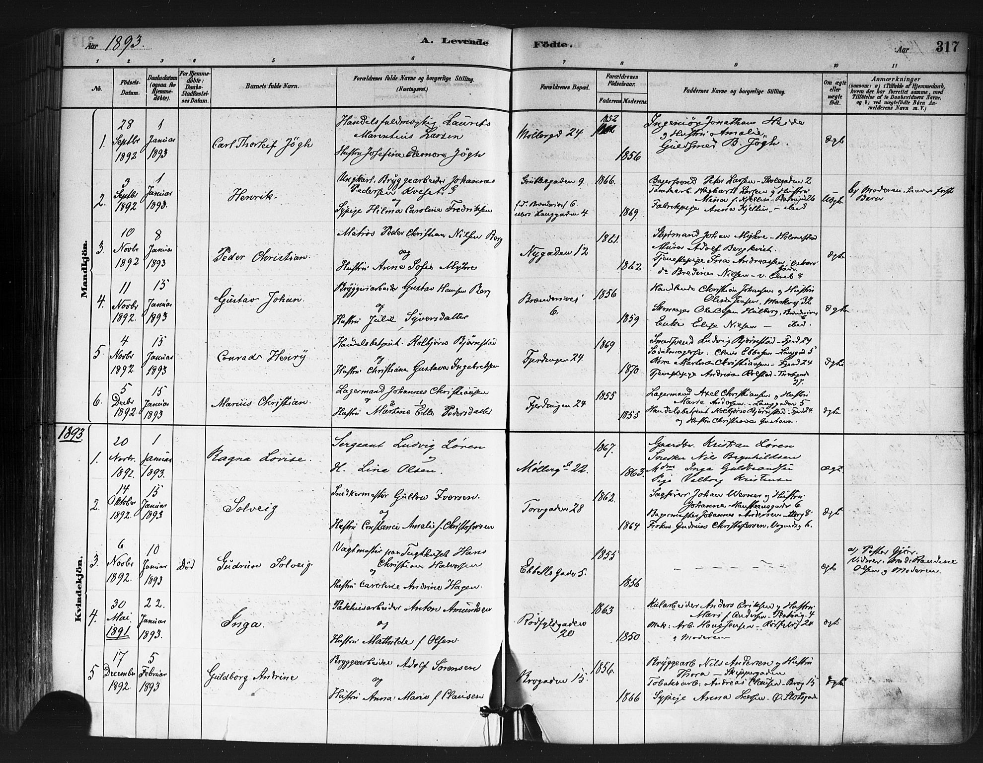 Jakob prestekontor Kirkebøker, AV/SAO-A-10850/F/Fa/L0003: Parish register (official) no. 3, 1880-1895, p. 317