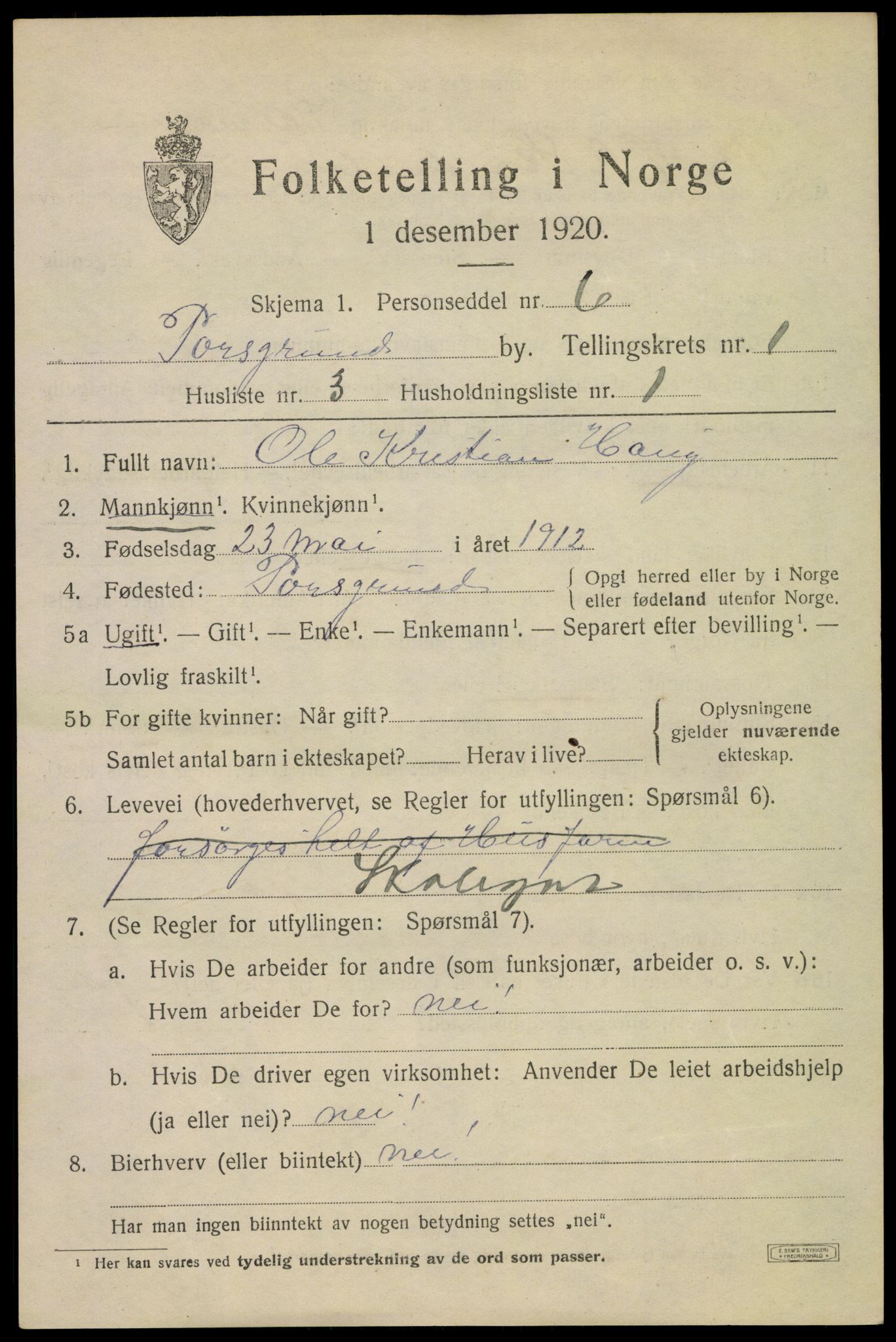 SAKO, 1920 census for Porsgrunn, 1920, p. 7133