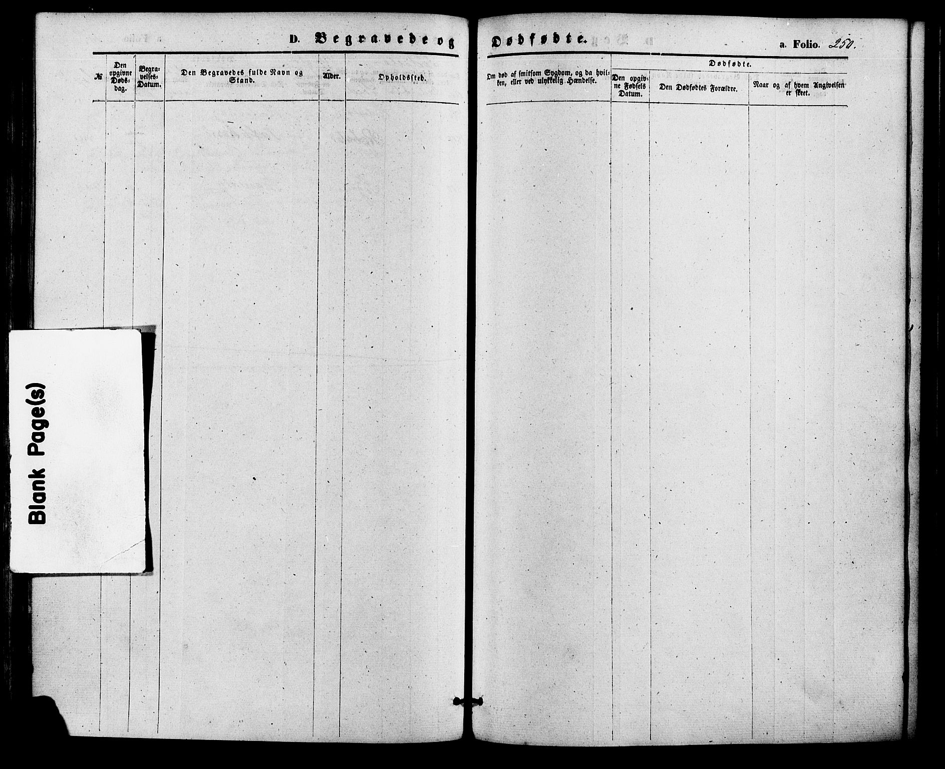 Søgne sokneprestkontor, SAK/1111-0037/F/Fa/Fab/L0011: Parish register (official) no. A 11, 1869-1879, p. 250