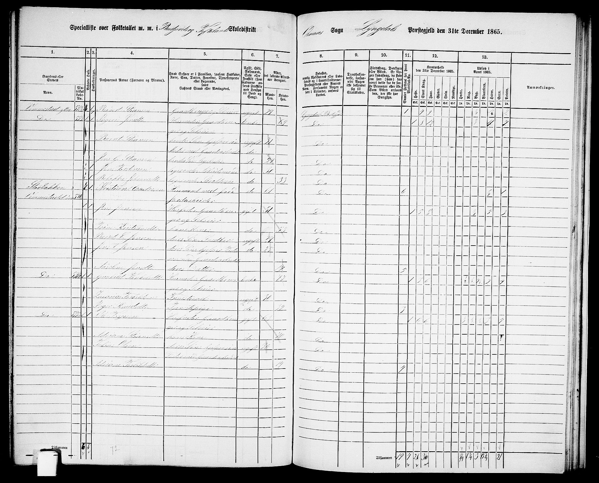 RA, 1865 census for Lyngdal, 1865, p. 219