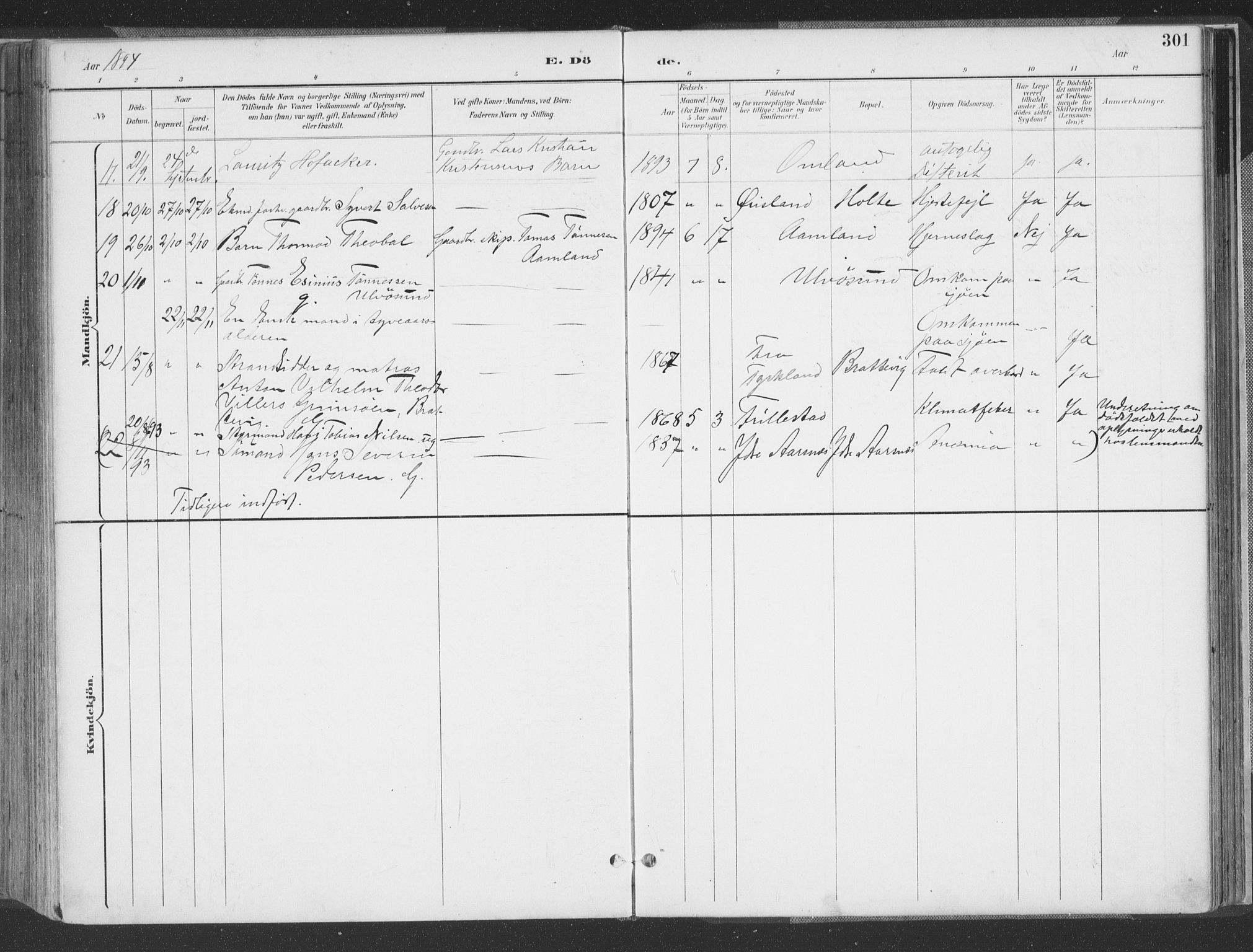 Høvåg sokneprestkontor, AV/SAK-1111-0025/F/Fa/L0006: Parish register (official) no. A 6, 1894-1923, p. 301
