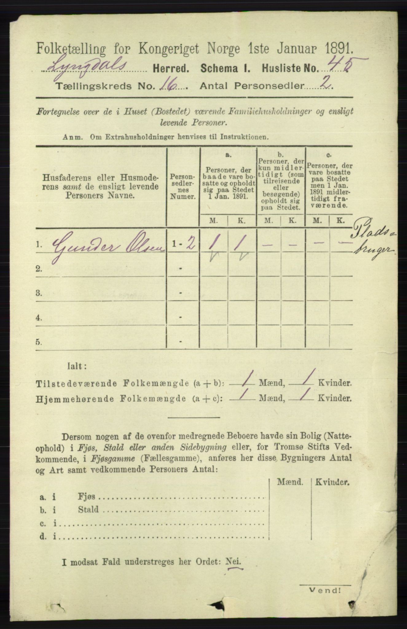 RA, 1891 census for 1032 Lyngdal, 1891, p. 6257