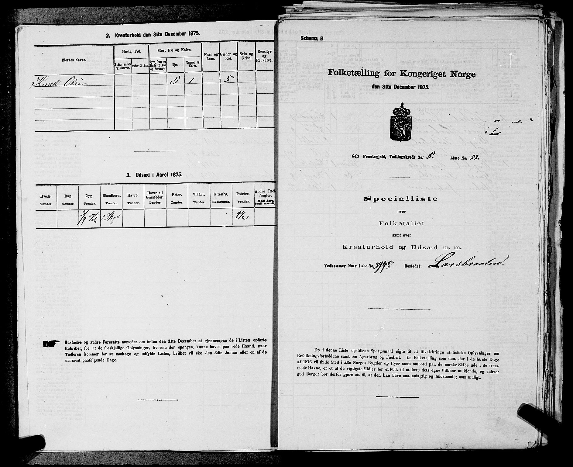 SAKO, 1875 census for 0617P Gol, 1875, p. 730