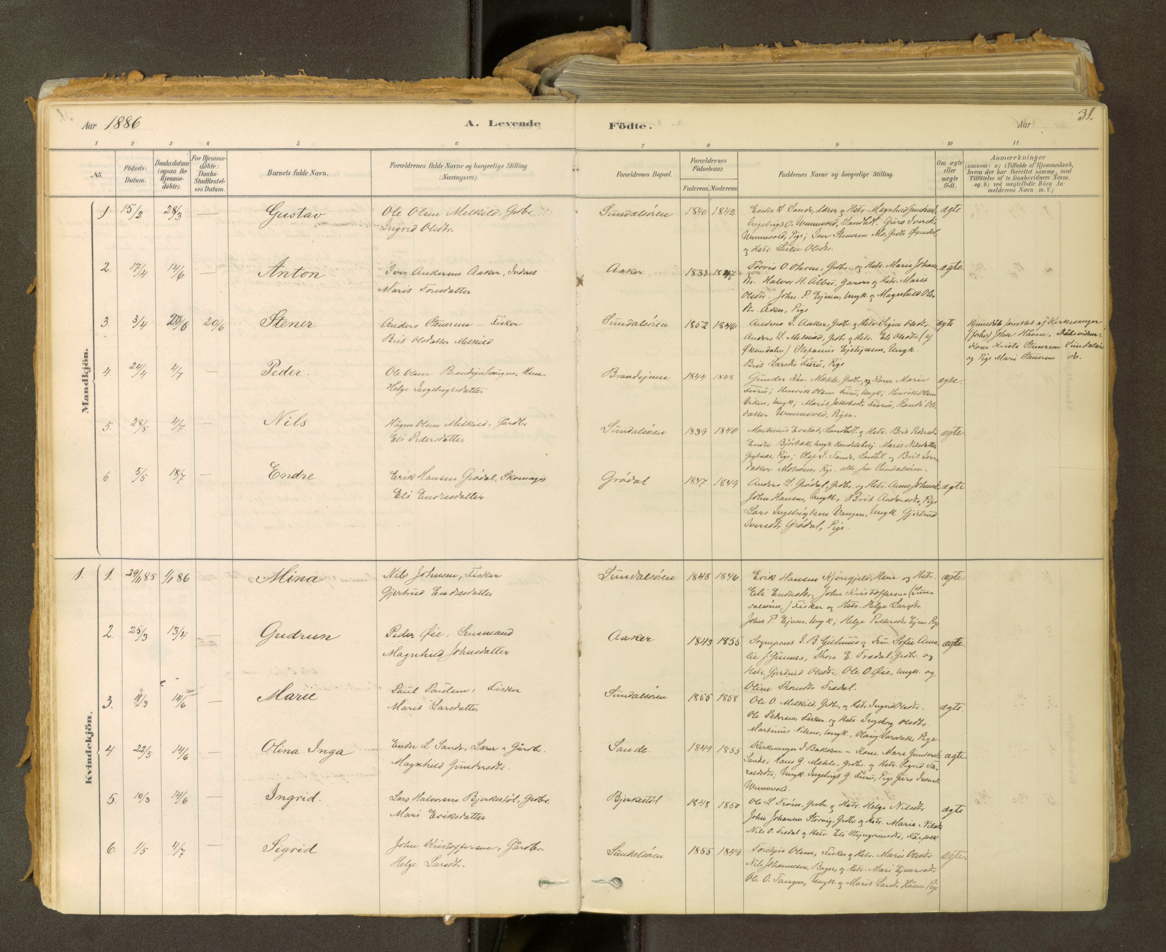 Sunndal sokneprestkontor, SAT/A-1085/1/I/I1/I1a: Parish register (official) no. 2, 1877-1914, p. 31