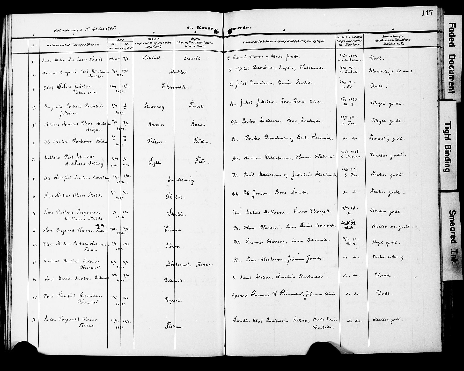 Ministerialprotokoller, klokkerbøker og fødselsregistre - Møre og Romsdal, AV/SAT-A-1454/501/L0018: Parish register (copy) no. 501C04, 1902-1930, p. 117