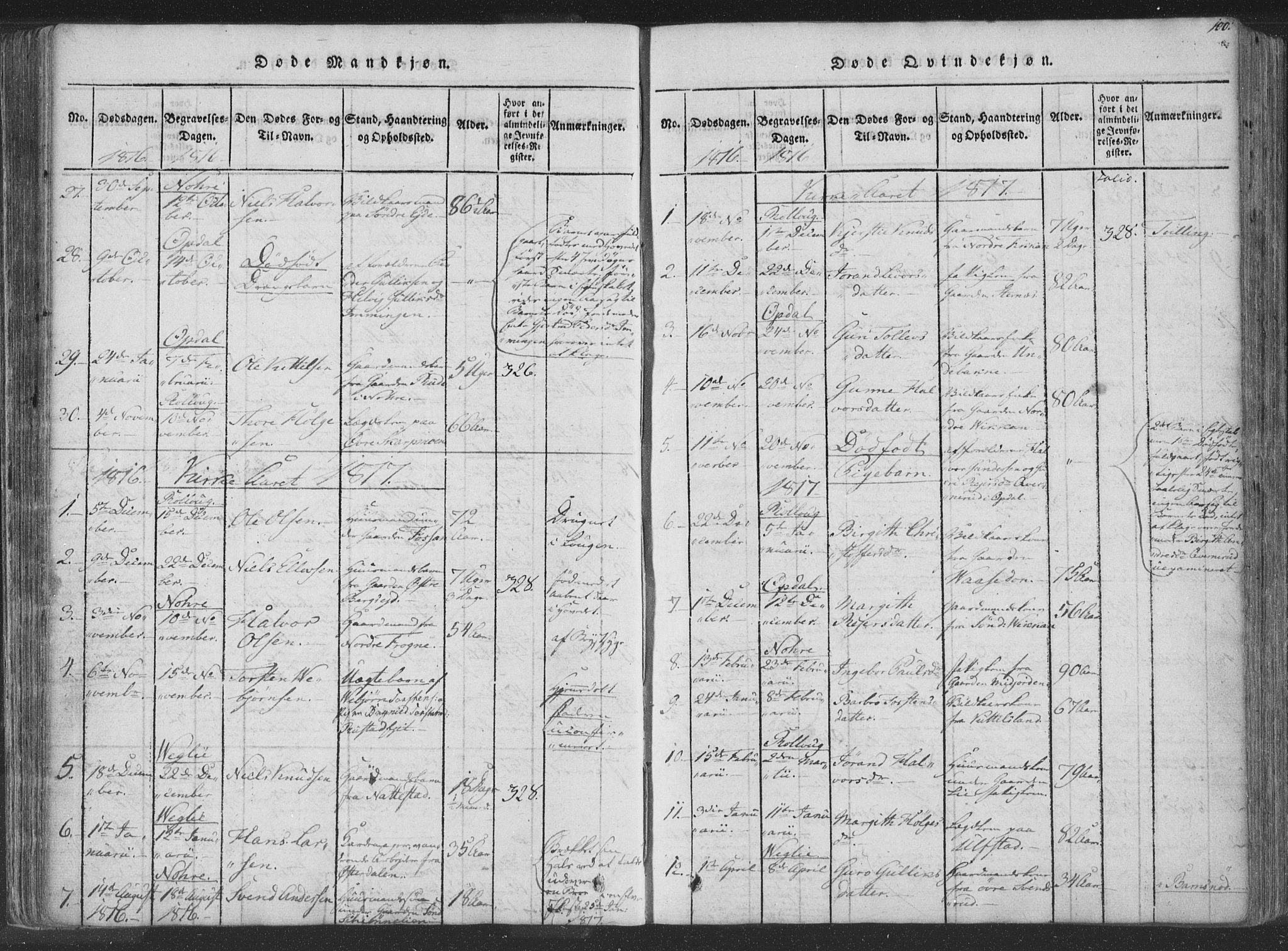 Rollag kirkebøker, AV/SAKO-A-240/F/Fa/L0006: Parish register (official) no. I 6, 1814-1828, p. 100