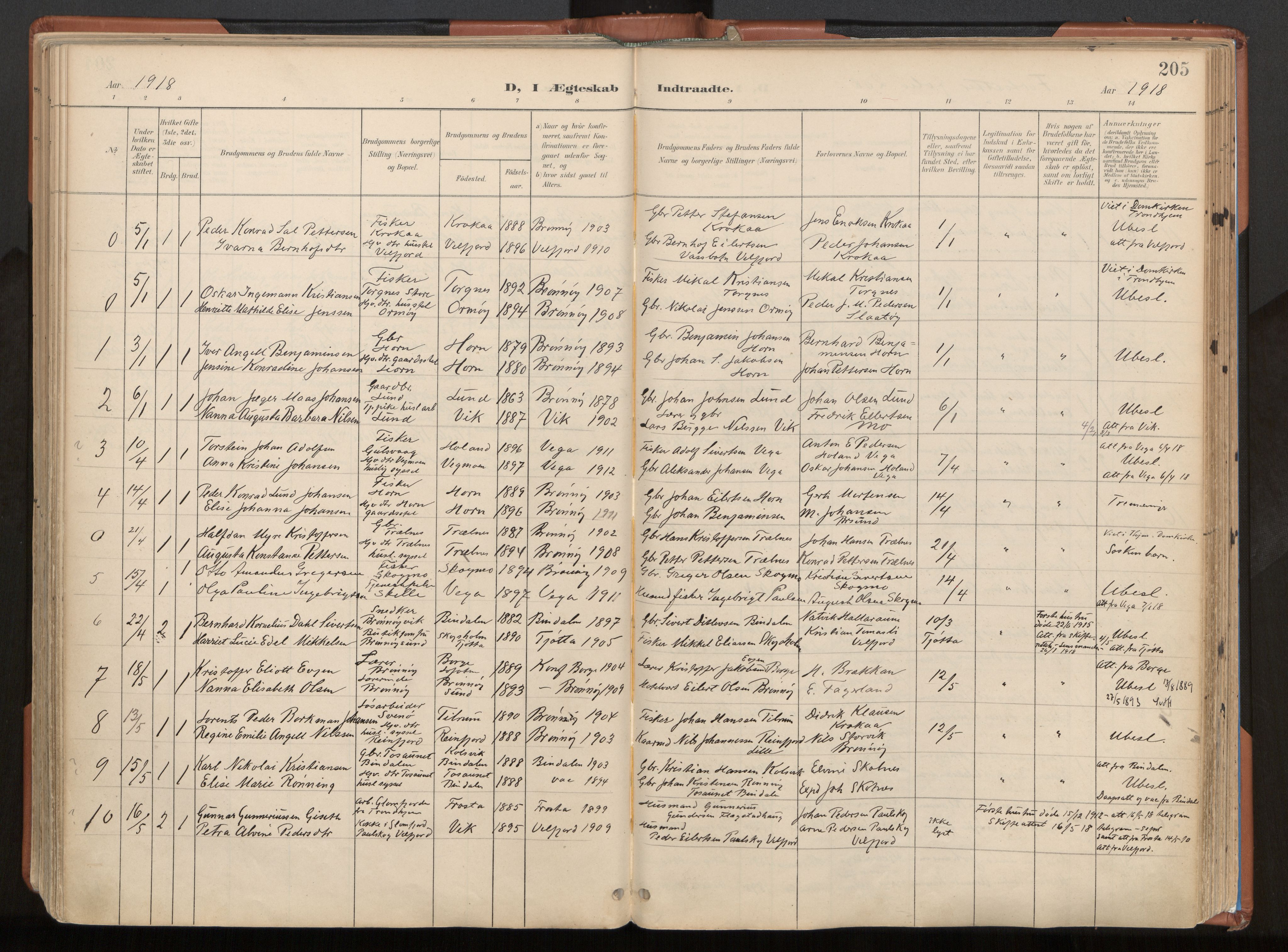 Ministerialprotokoller, klokkerbøker og fødselsregistre - Nordland, SAT/A-1459/813/L0201: Parish register (official) no. 813A11, 1901-1918, p. 205