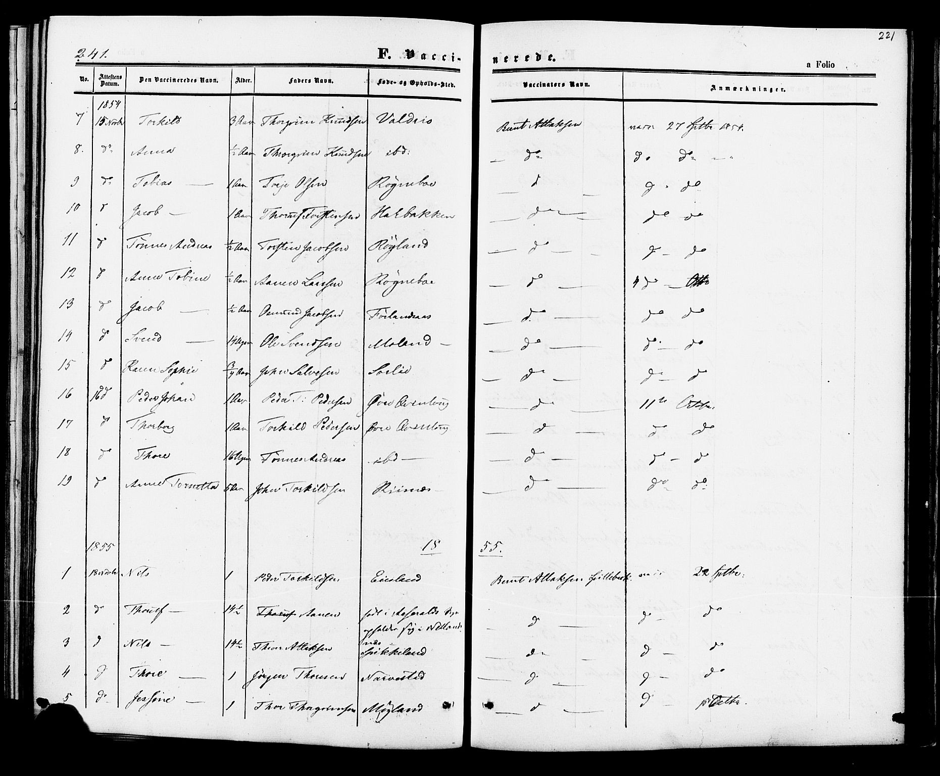 Fjotland sokneprestkontor, AV/SAK-1111-0010/F/Fa/L0001: Parish register (official) no. A 1, 1850-1879, p. 221