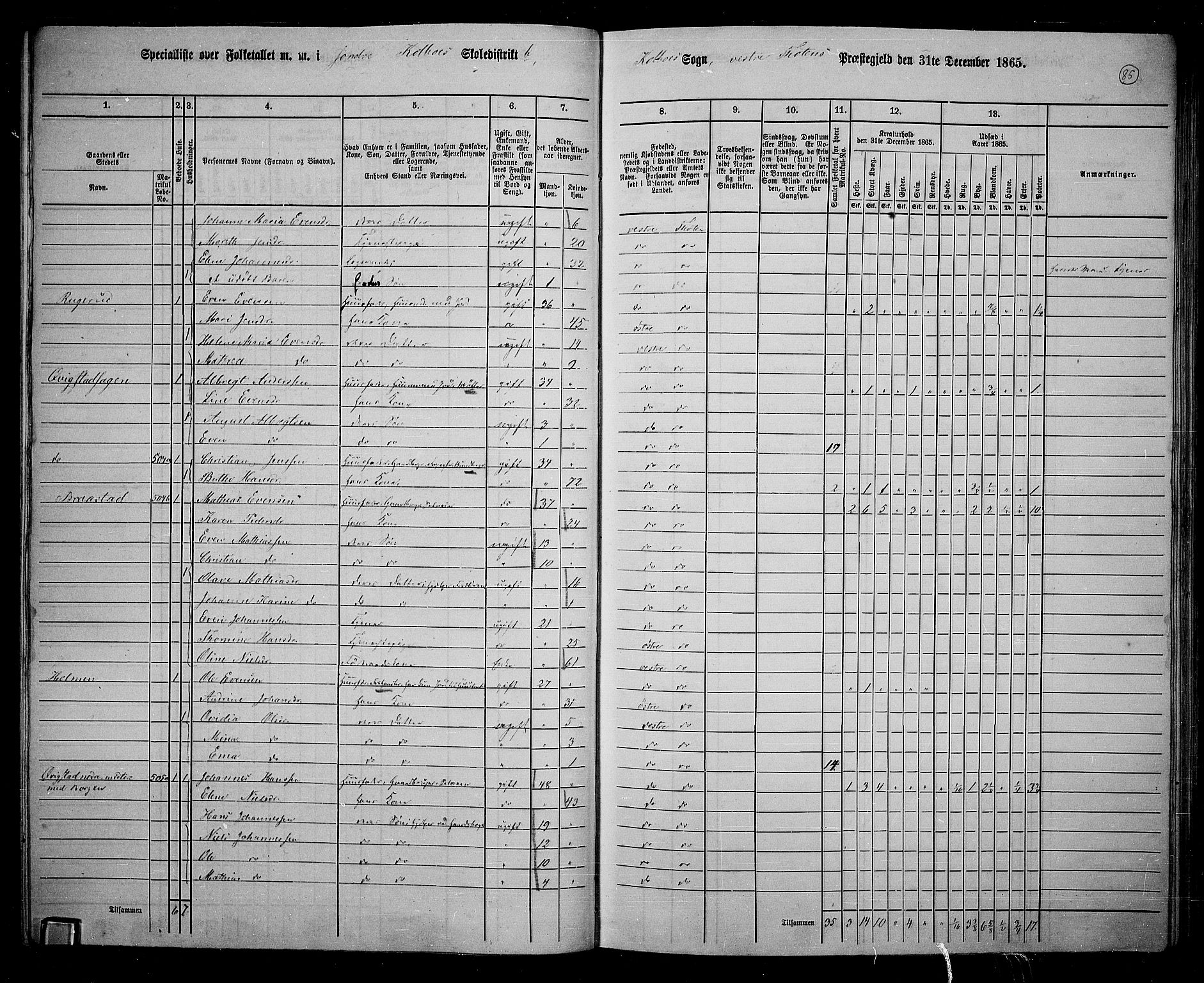 RA, 1865 census for Vestre Toten, 1865, p. 239