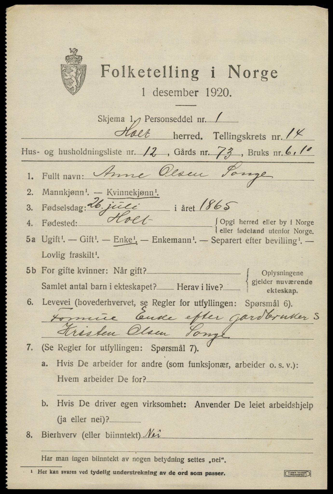 SAK, 1920 census for Holt, 1920, p. 8104