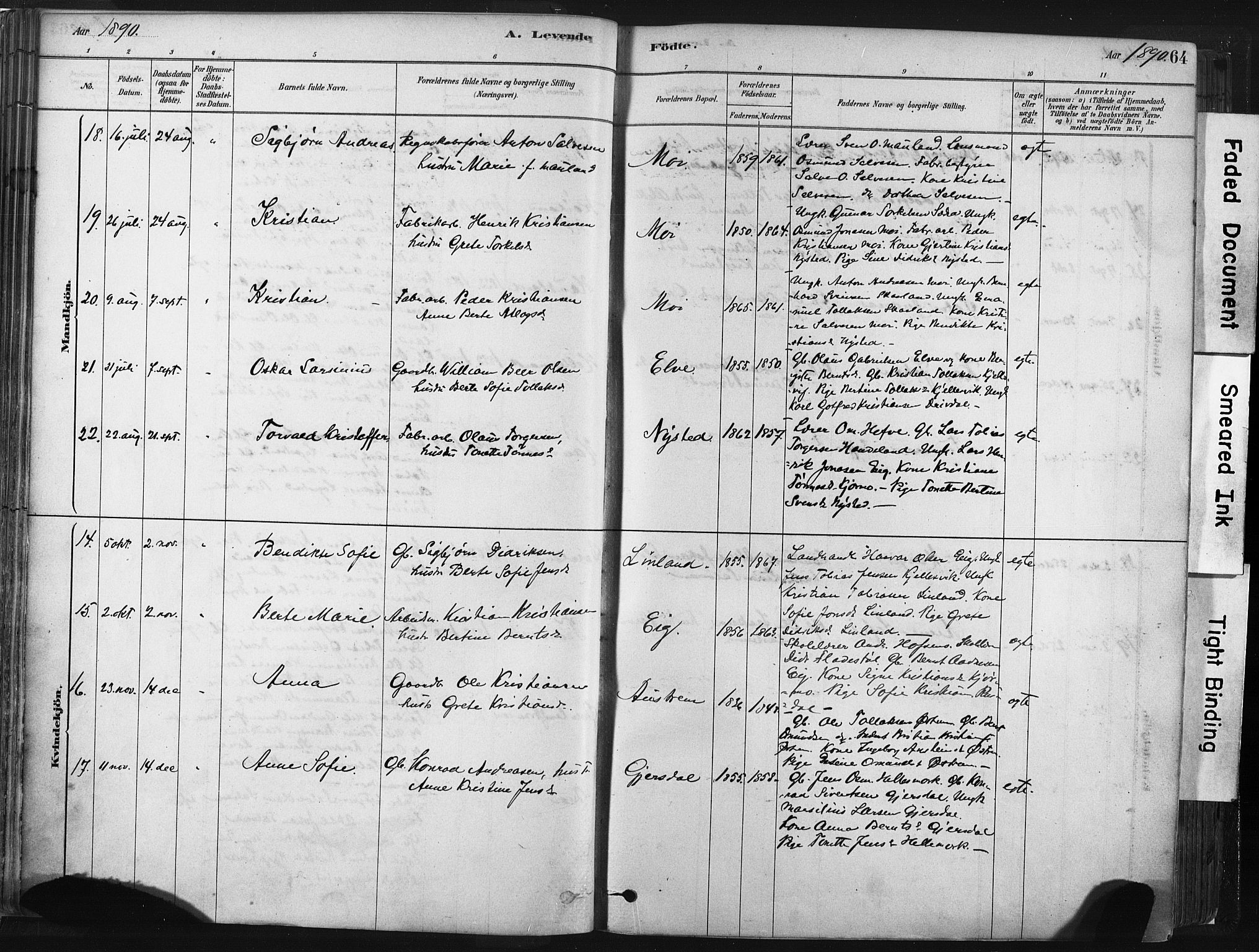 Lund sokneprestkontor, AV/SAST-A-101809/S06/L0011: Parish register (official) no. A 10, 1877-1904, p. 65