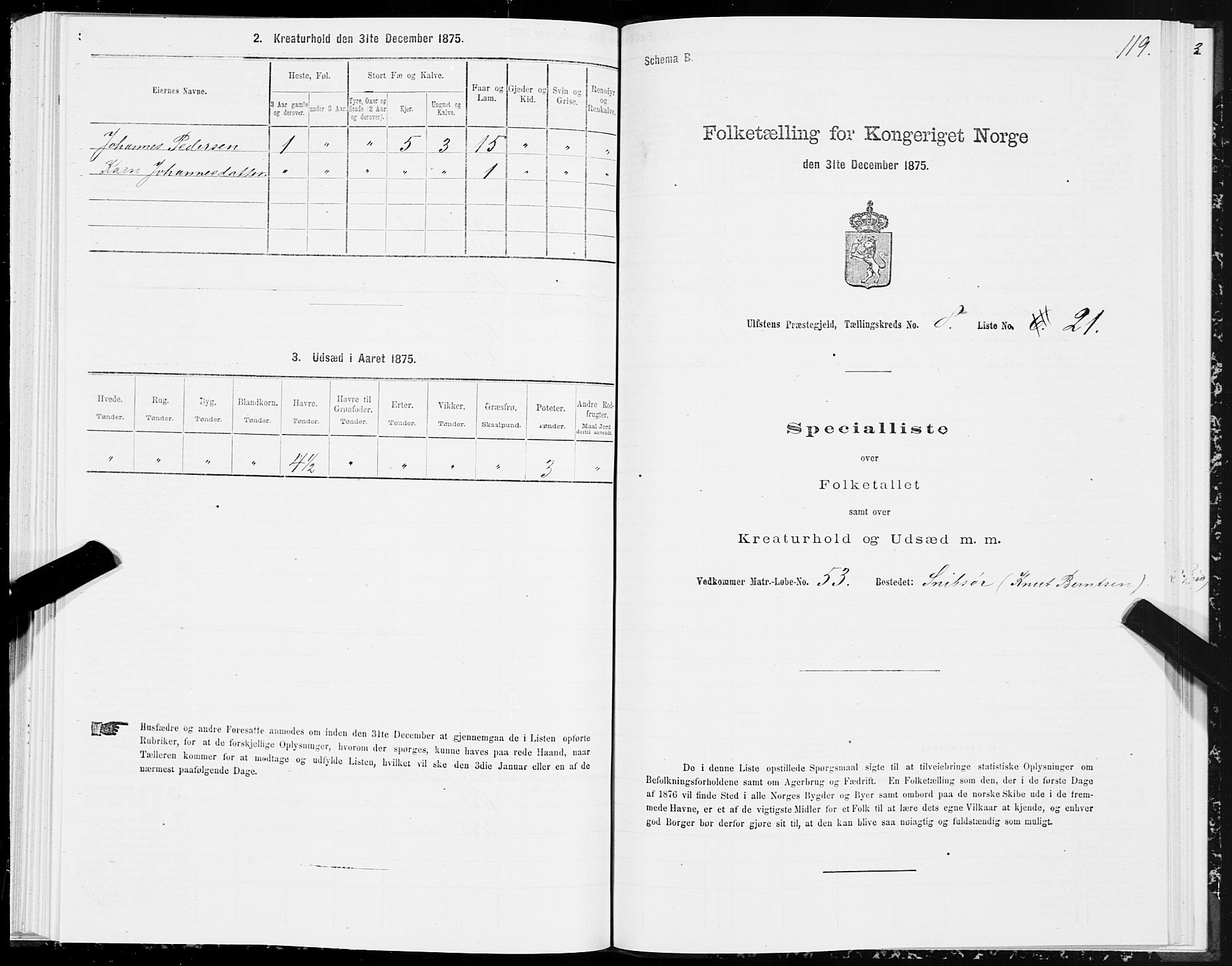 SAT, 1875 census for 1516P Ulstein, 1875, p. 3119