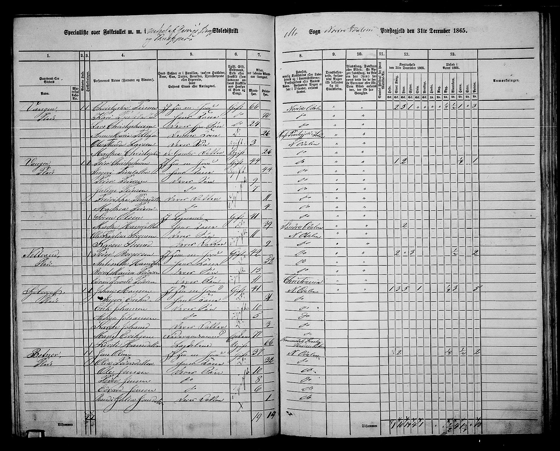 RA, 1865 census for Nord-Odal, 1865, p. 110