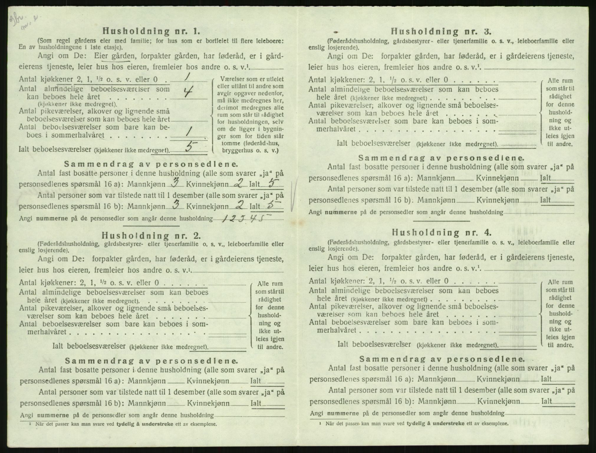 SAK, 1920 census for Hornnes, 1920, p. 402