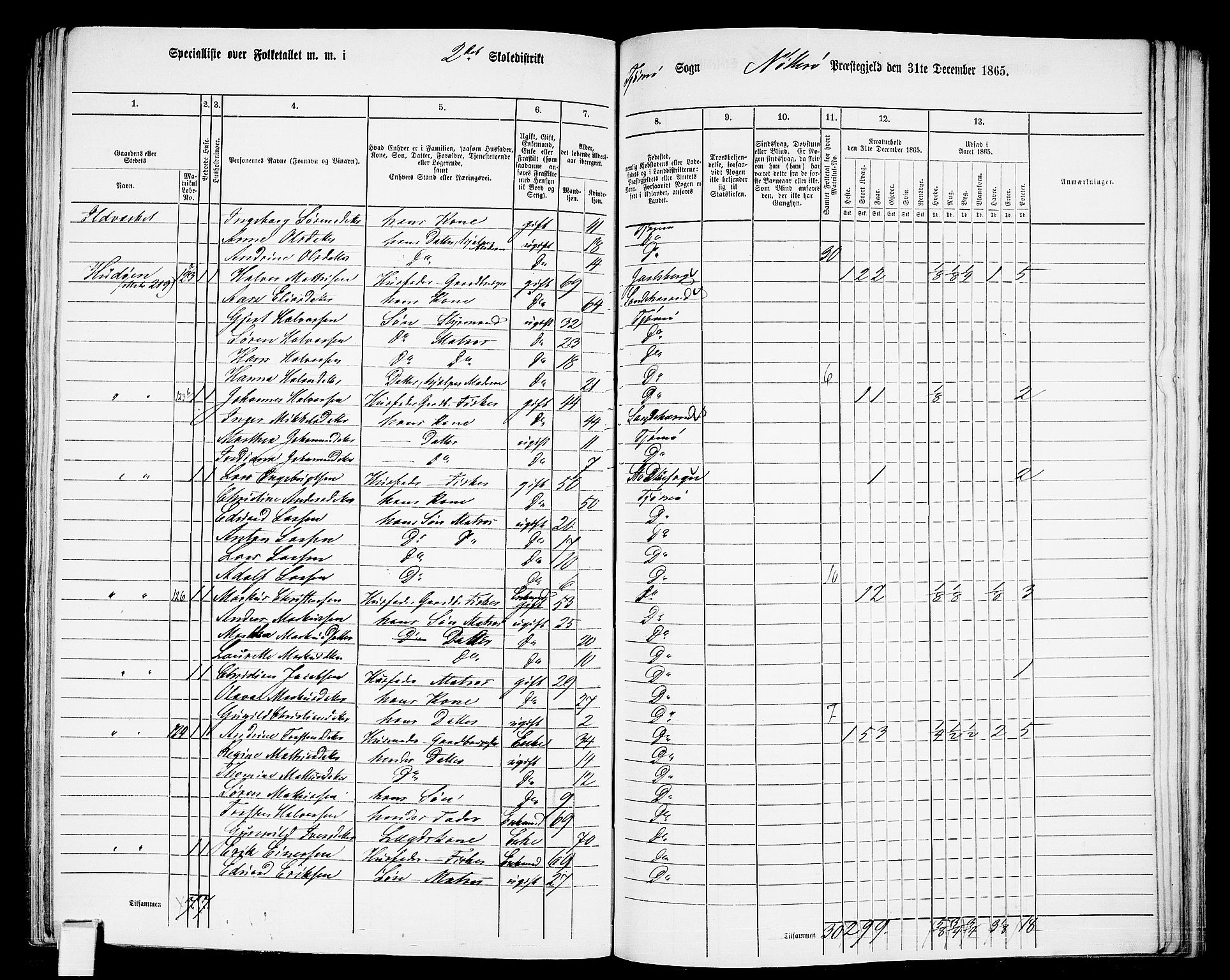 RA, 1865 census for Nøtterøy, 1865, p. 267