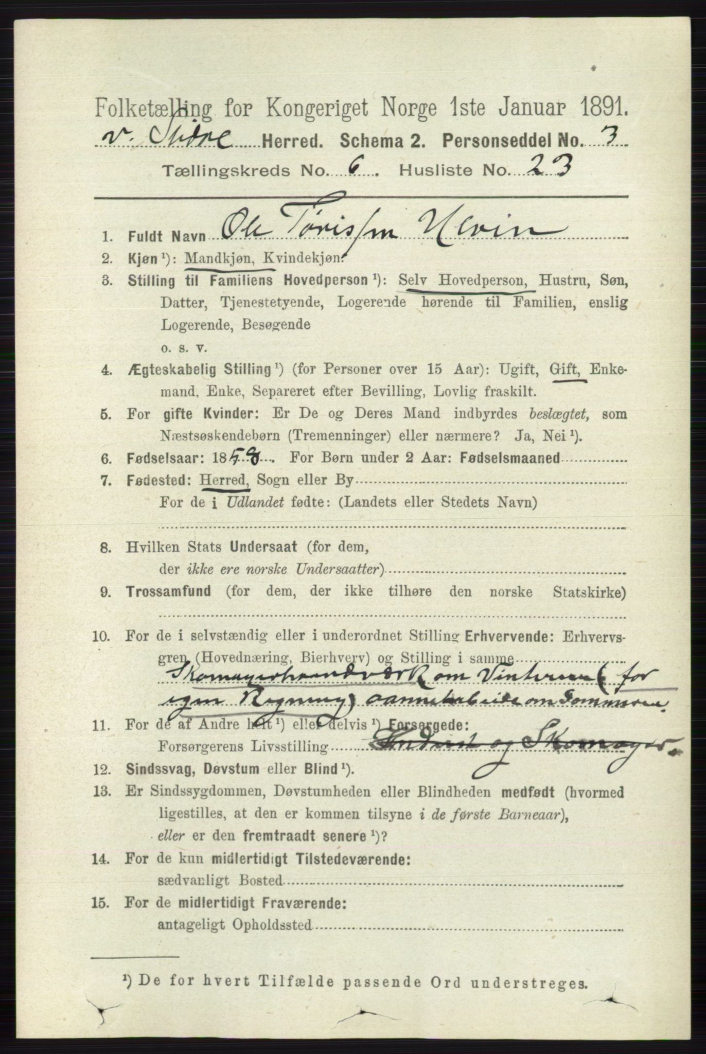 RA, 1891 census for 0543 Vestre Slidre, 1891, p. 2195