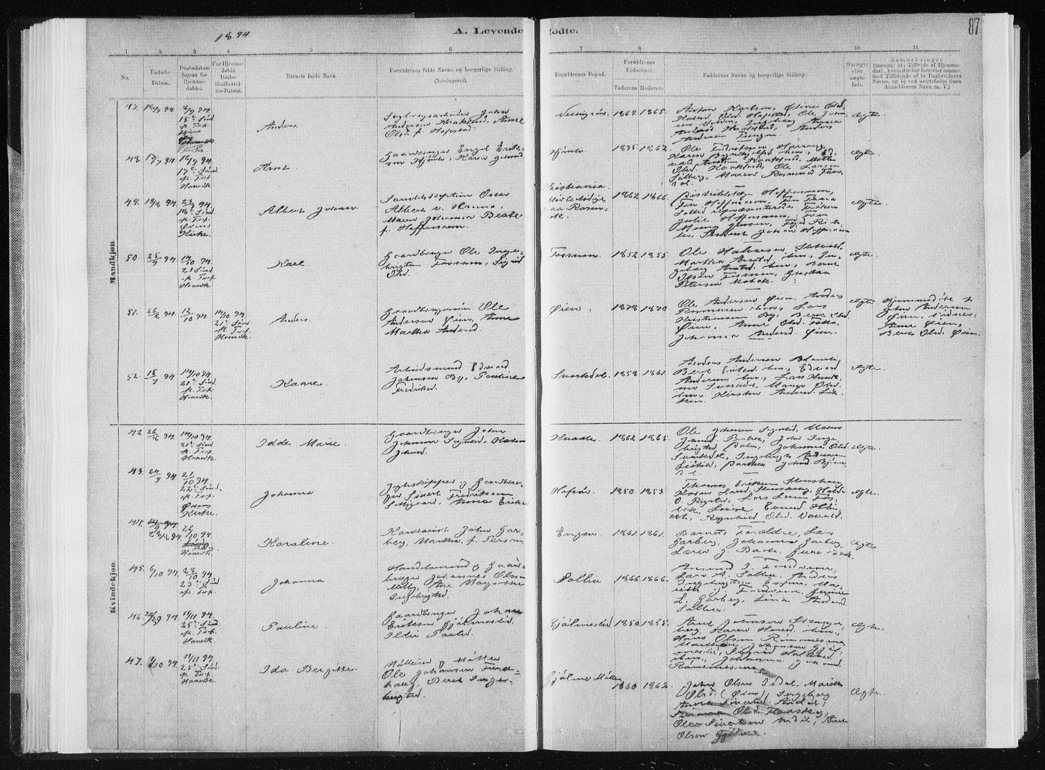 Ministerialprotokoller, klokkerbøker og fødselsregistre - Sør-Trøndelag, AV/SAT-A-1456/668/L0818: Parish register (copy) no. 668C07, 1885-1898, p. 87