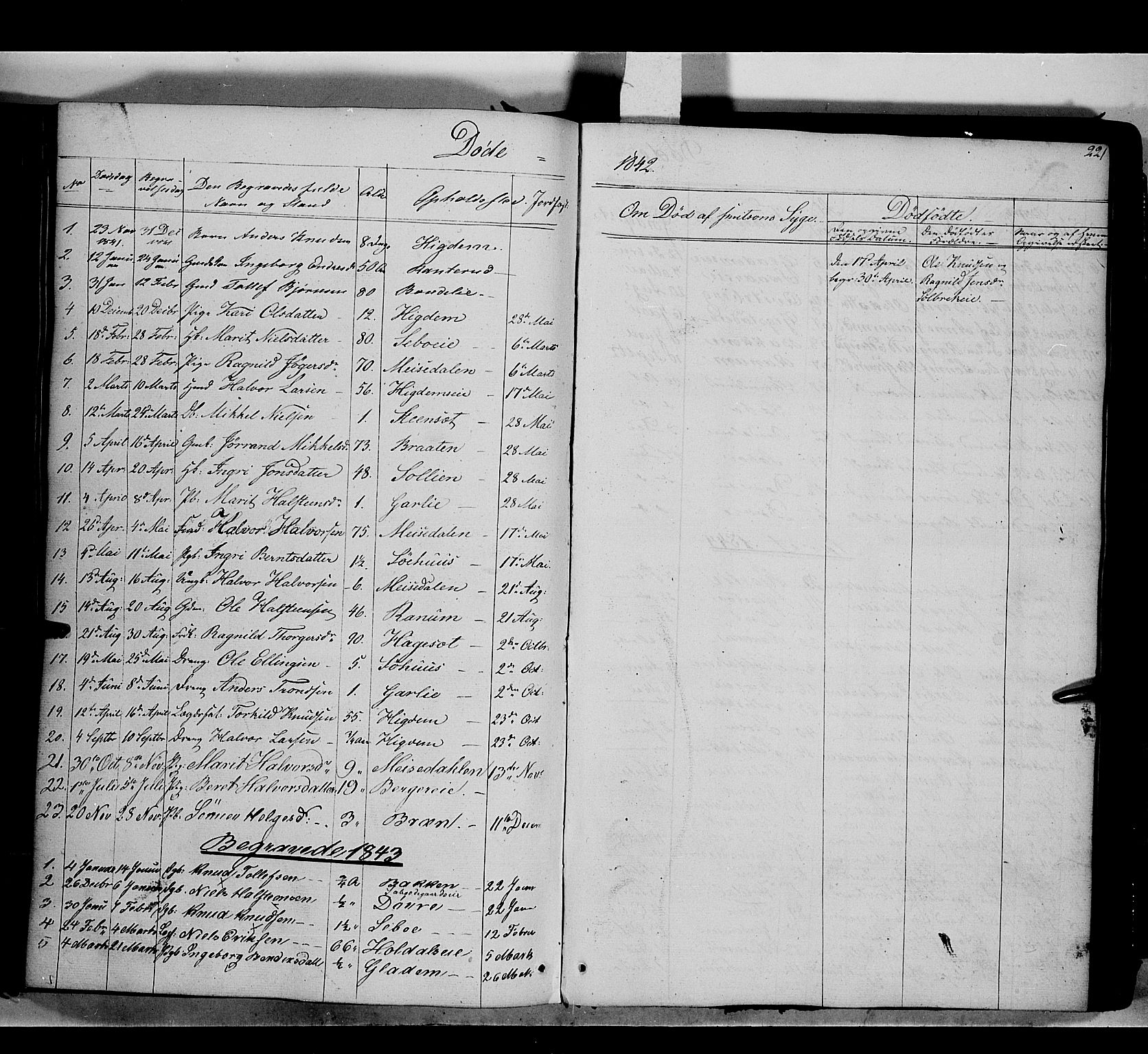 Nord-Aurdal prestekontor, SAH/PREST-132/H/Ha/Haa/L0007: Parish register (official) no. 7, 1842-1863, p. 221
