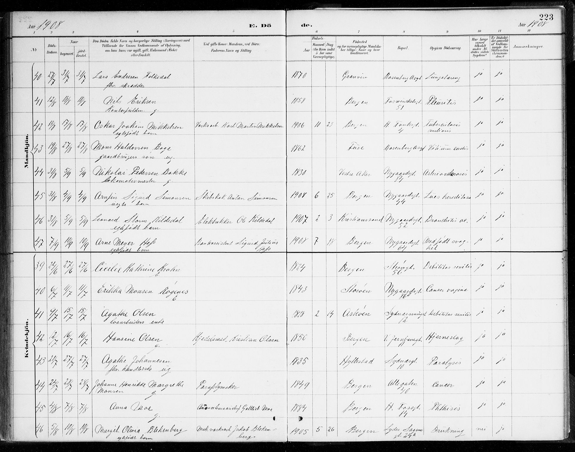 Johanneskirken sokneprestembete, SAB/A-76001/H/Haa/L0019: Parish register (official) no. E 1, 1885-1915, p. 223