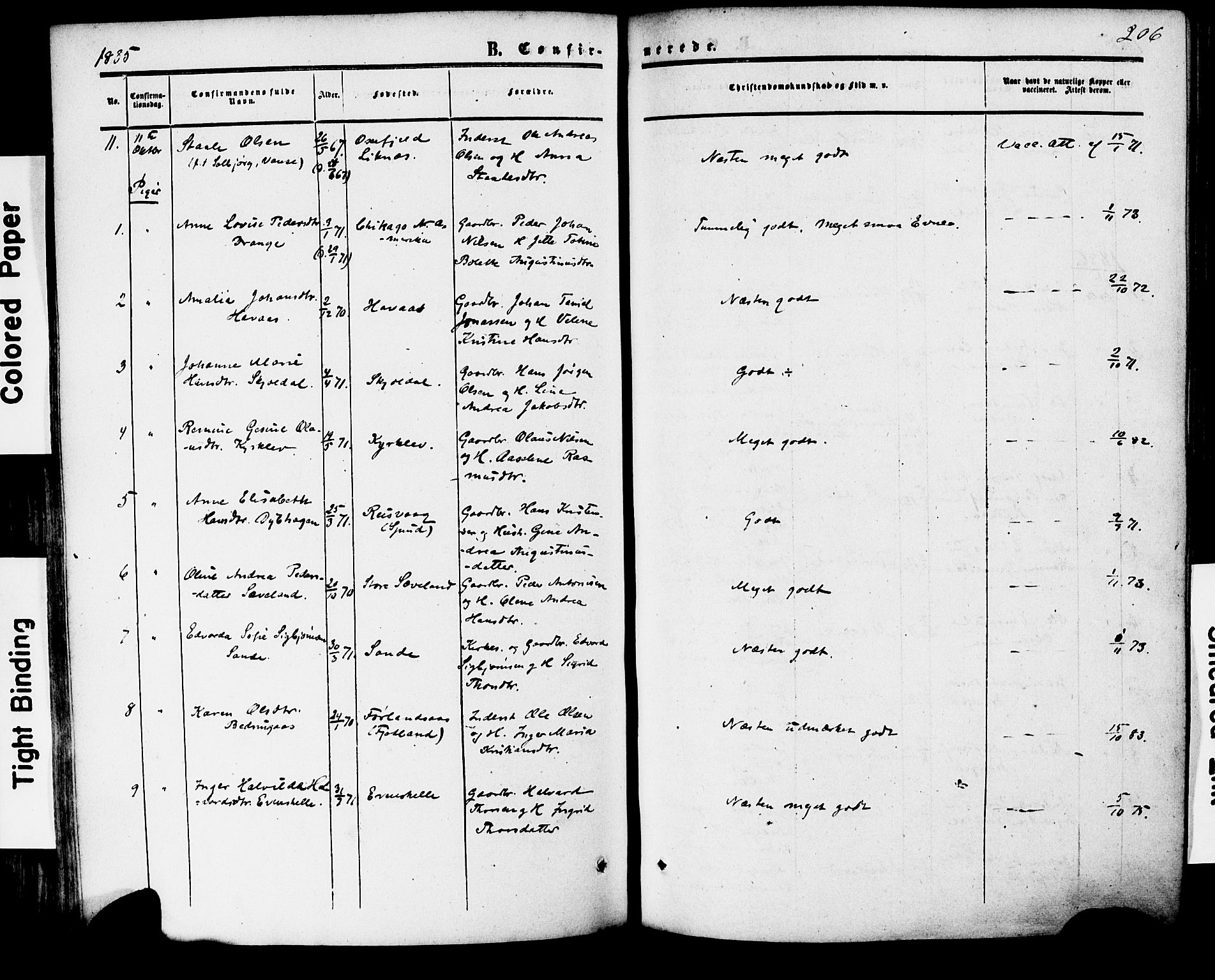 Herad sokneprestkontor, AV/SAK-1111-0018/F/Fa/Faa/L0005: Parish register (official) no. A 5, 1853-1886, p. 206