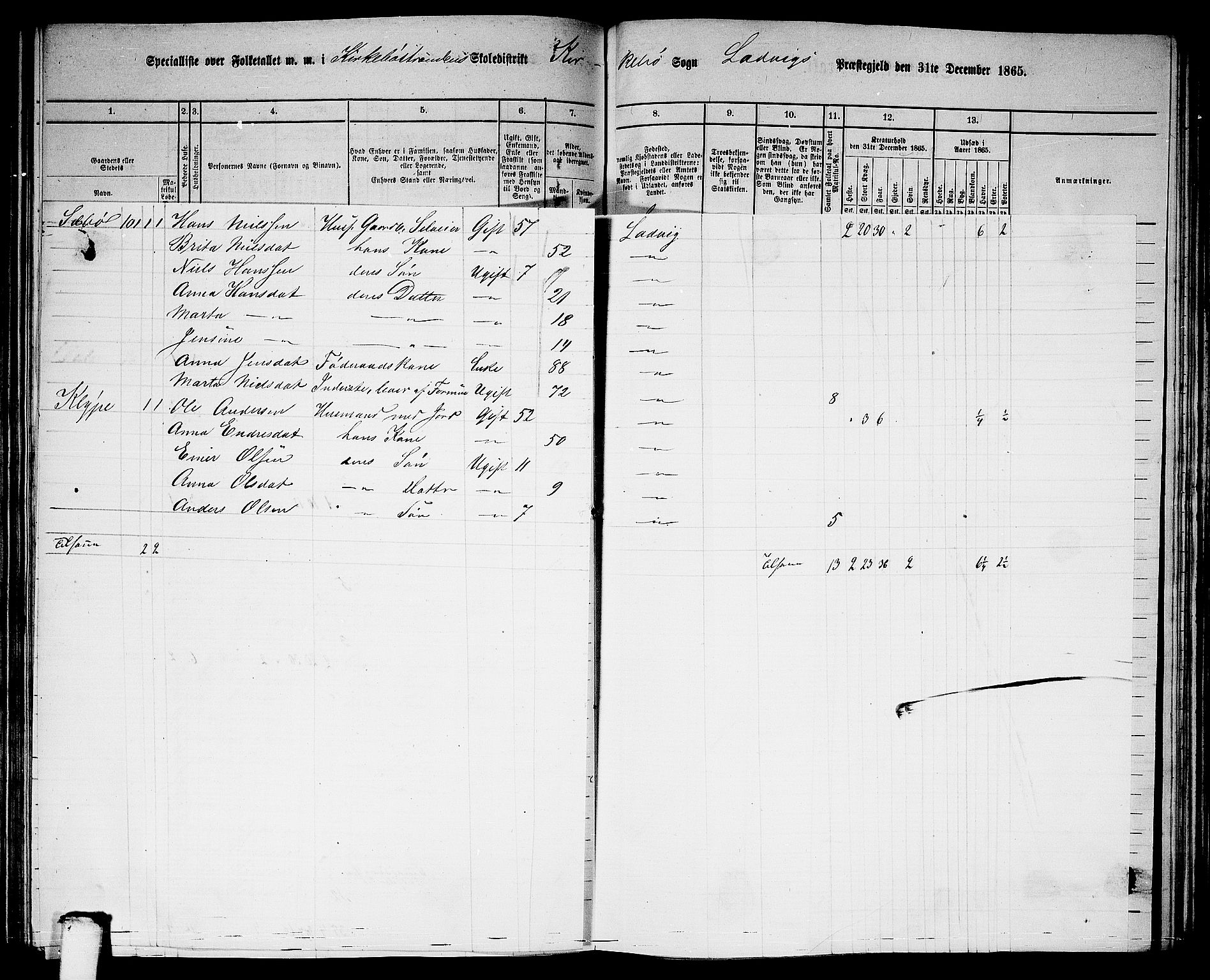 RA, 1865 census for Lavik, 1865, p. 133