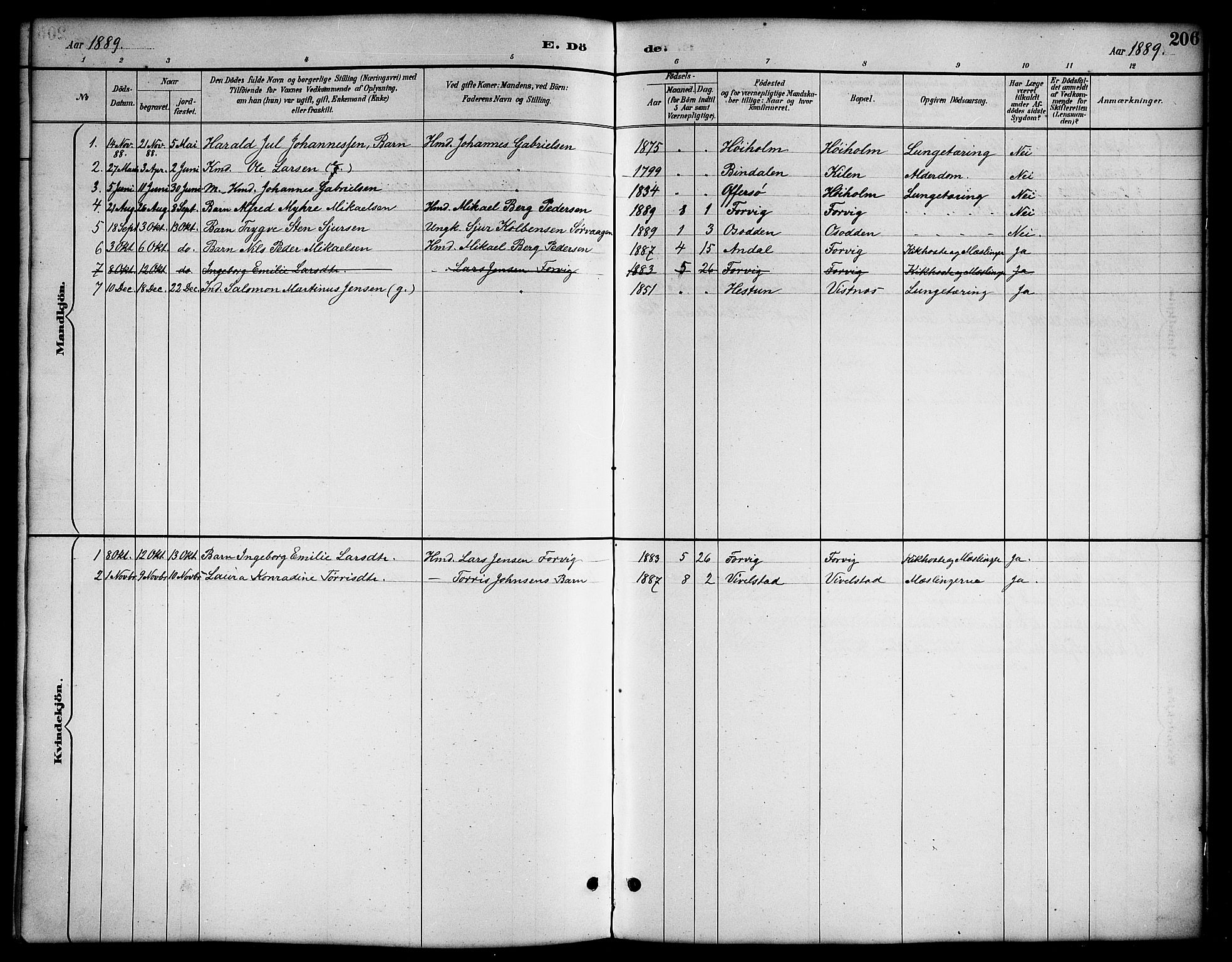 Ministerialprotokoller, klokkerbøker og fødselsregistre - Nordland, AV/SAT-A-1459/819/L0277: Parish register (copy) no. 819C03, 1888-1917, p. 206