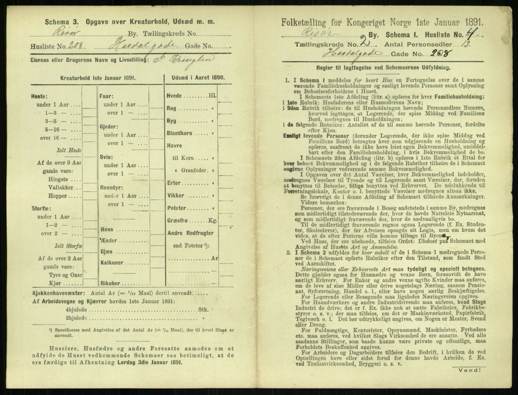 RA, 1891 census for 0901 Risør, 1891, p. 317