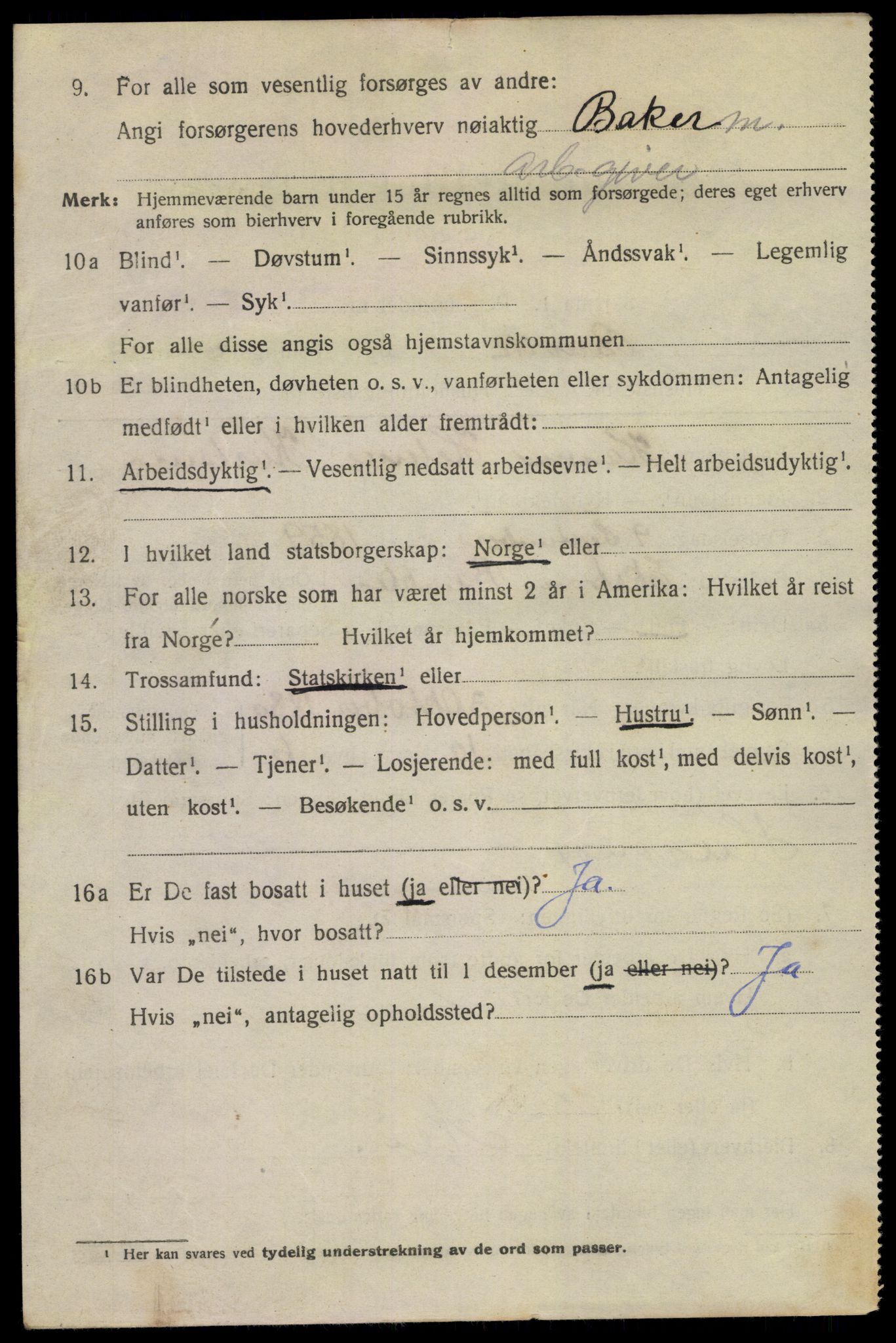 SAKO, 1920 census for Brevik, 1920, p. 6019