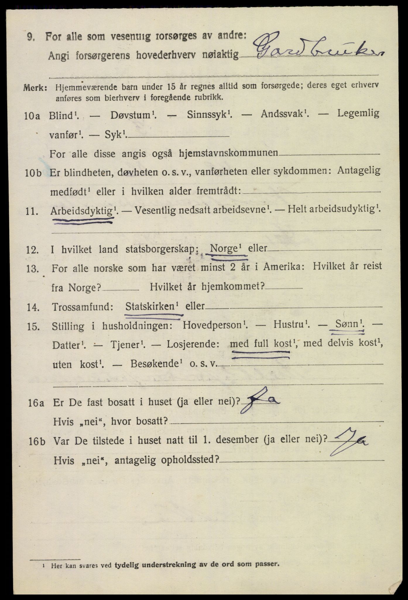 SAK, 1920 census for Bykle, 1920, p. 1008