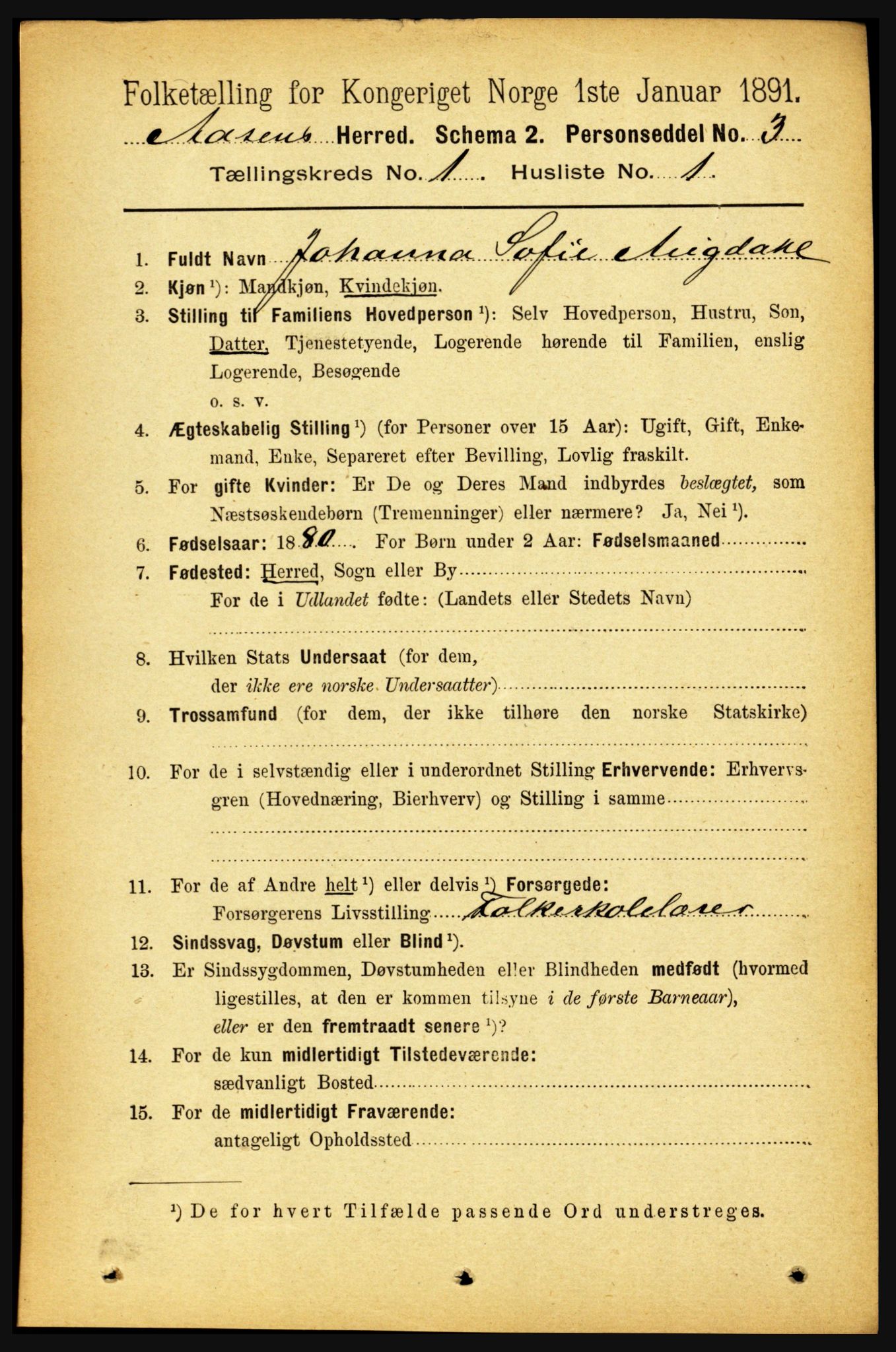 RA, 1891 census for 1716 Åsen, 1891, p. 100