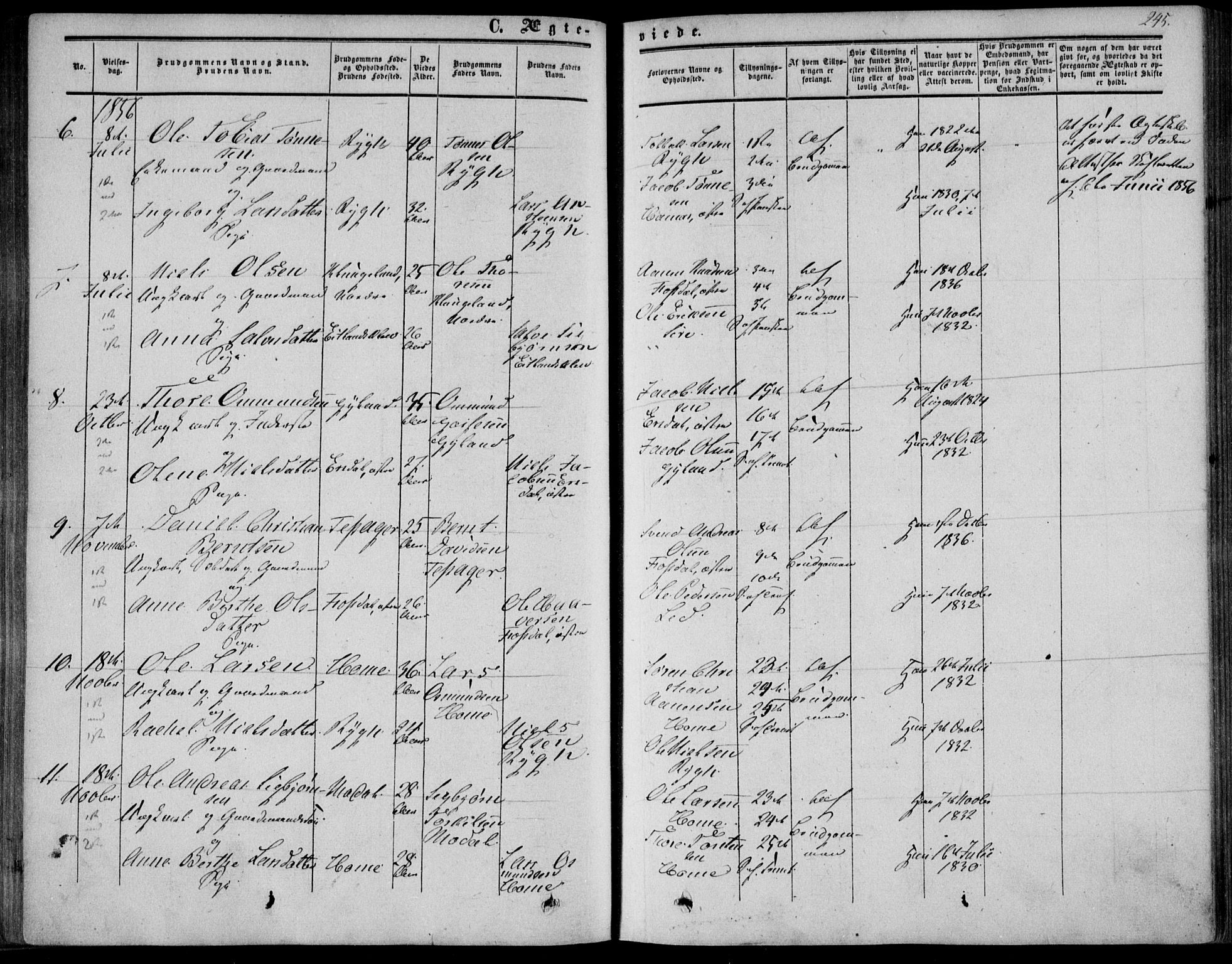 Bakke sokneprestkontor, AV/SAK-1111-0002/F/Fa/Fab/L0002: Parish register (official) no. A 2, 1855-1884, p. 245