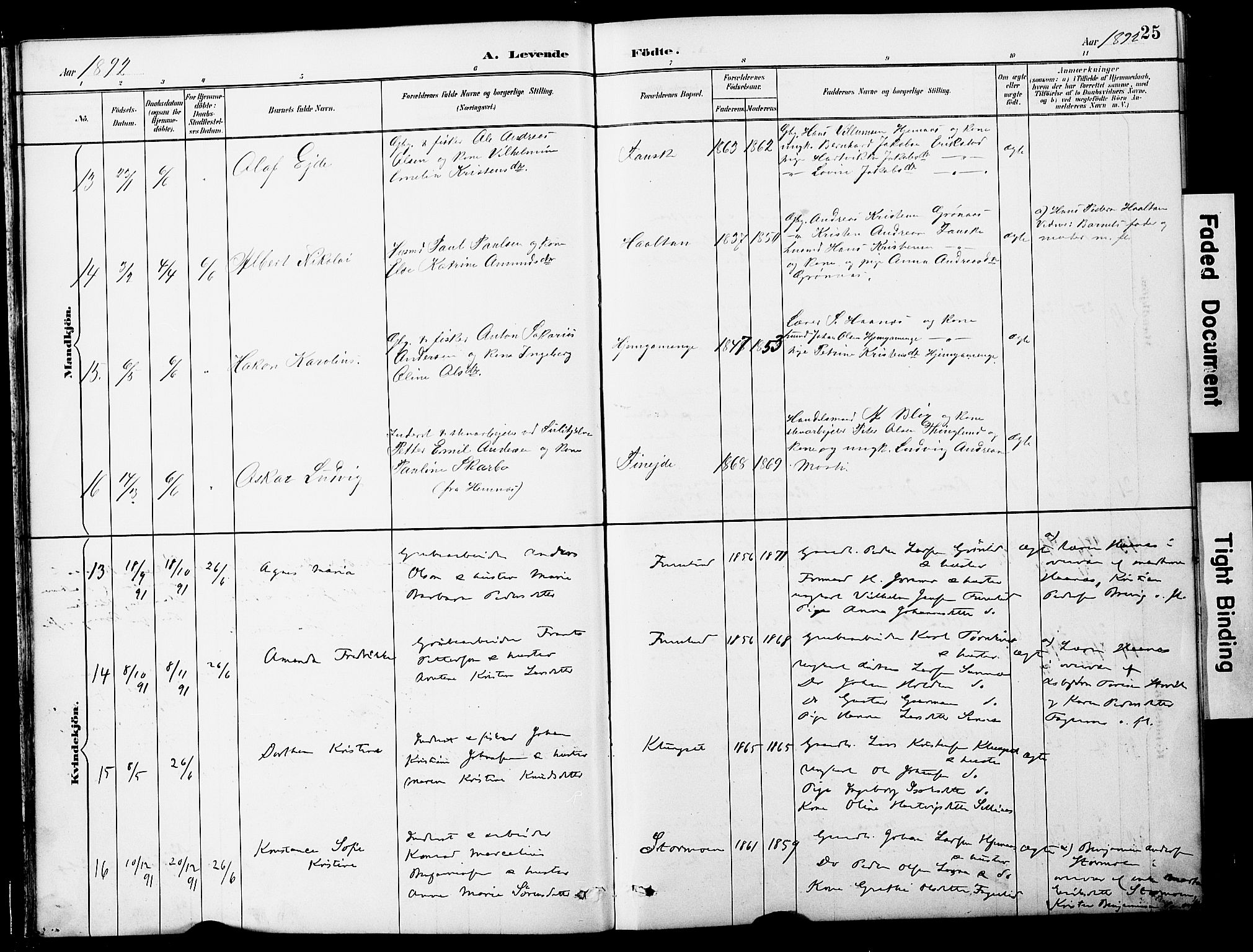 Ministerialprotokoller, klokkerbøker og fødselsregistre - Nordland, AV/SAT-A-1459/849/L0690: Parish register (official) no. 849A02, 1890-1897, p. 25