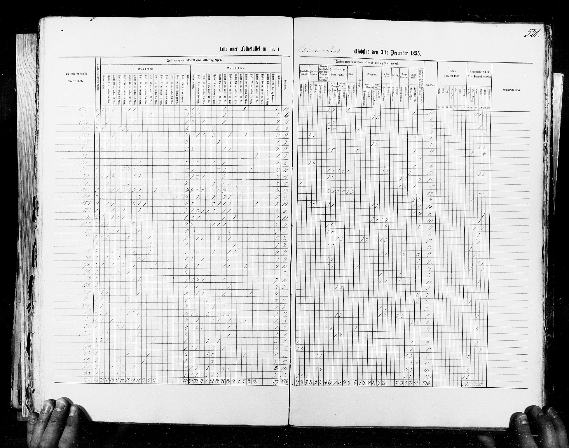 RA, Census 1855, vol. 8: Risør-Vadsø, 1855, p. 521