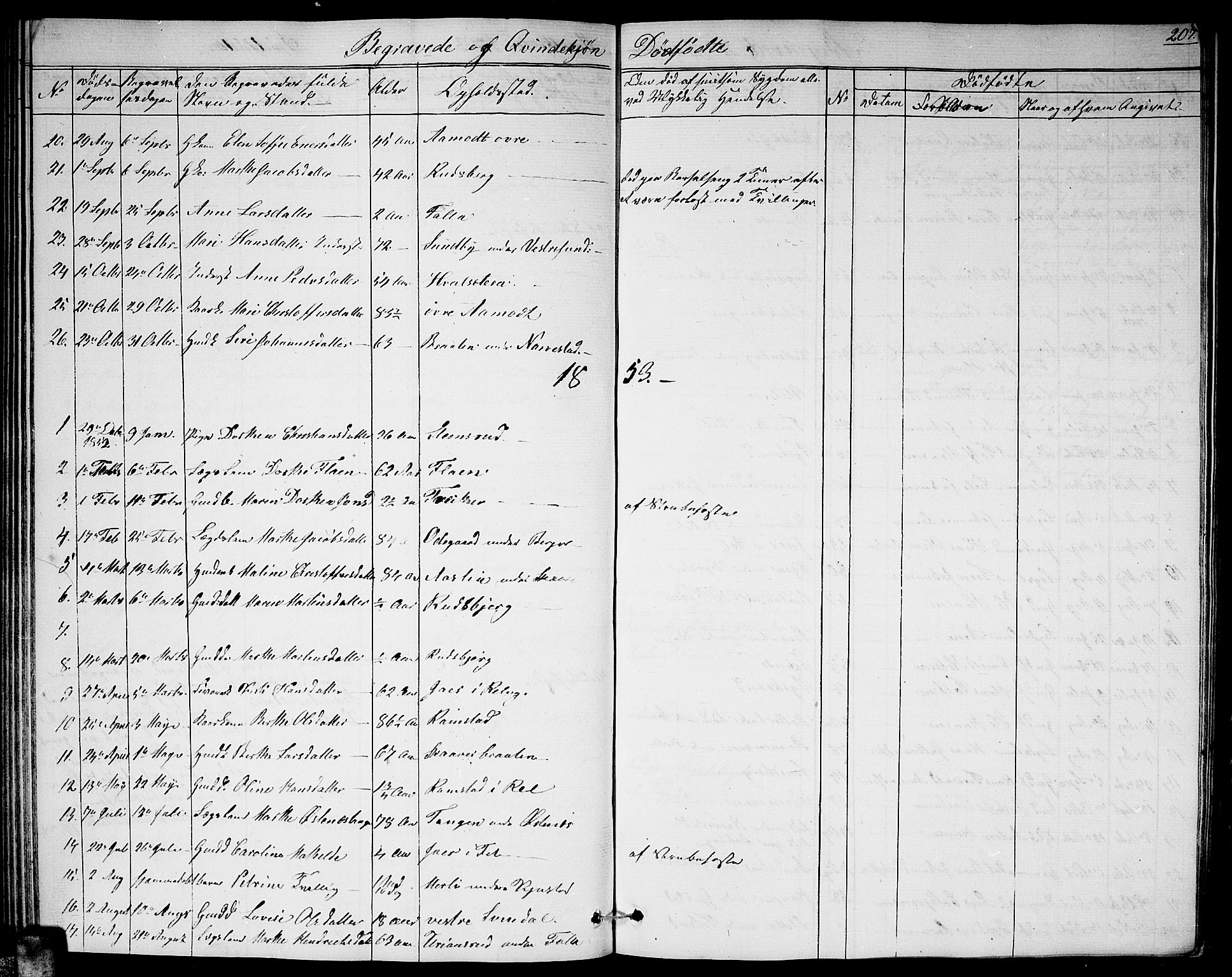 Fet prestekontor Kirkebøker, AV/SAO-A-10370a/G/Ga/L0002: Parish register (copy) no. I 2, 1843-1859, p. 207