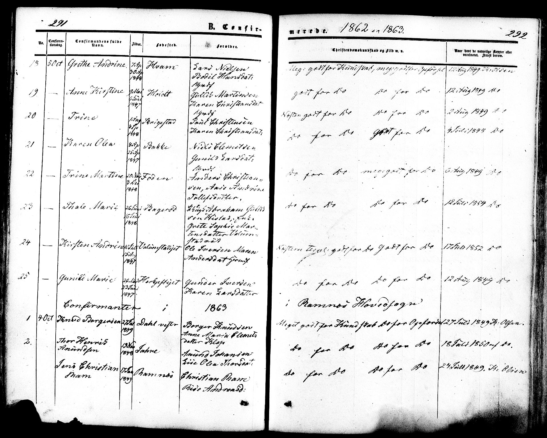 Ramnes kirkebøker, SAKO/A-314/F/Fa/L0006: Parish register (official) no. I 6, 1862-1877, p. 291-292