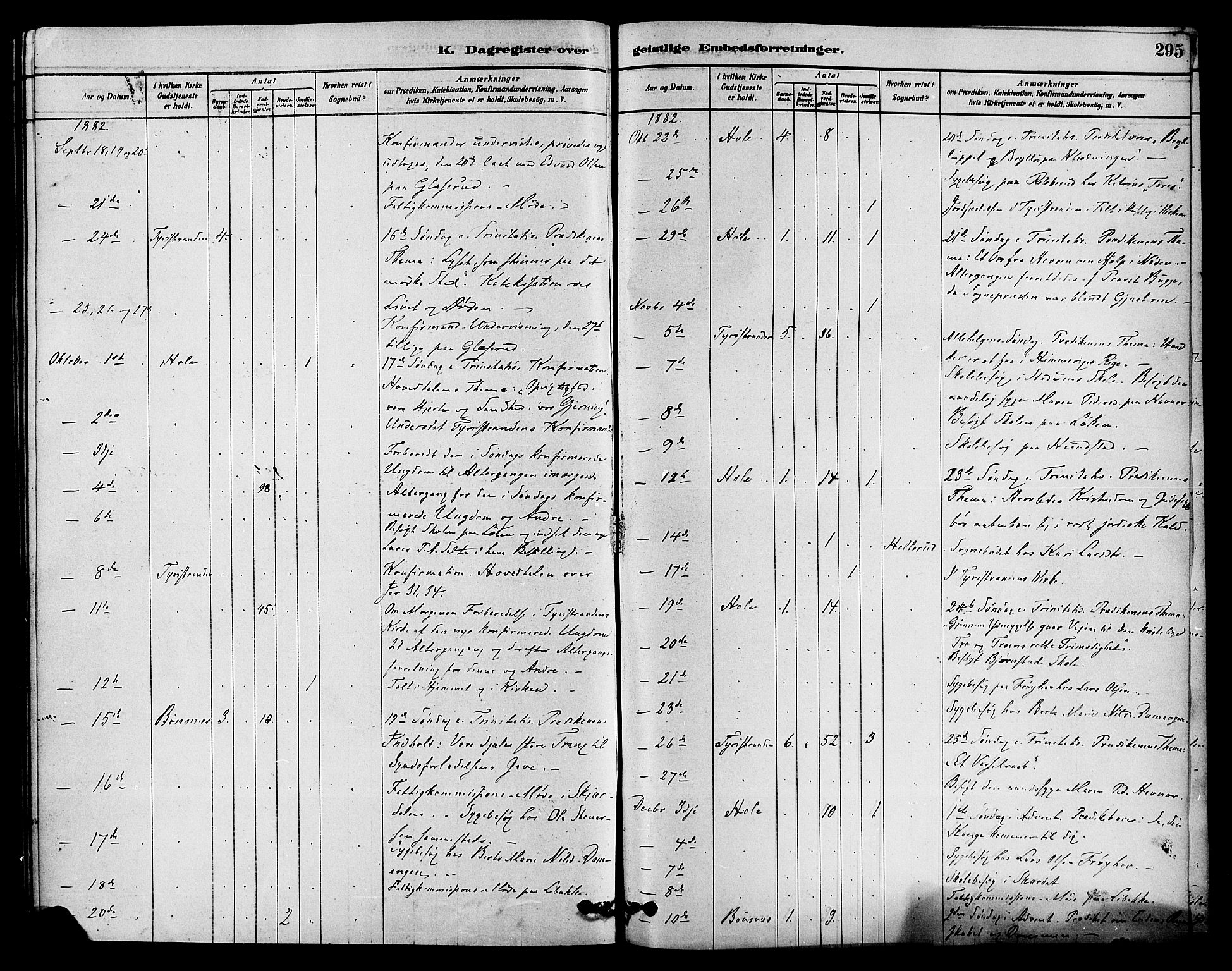 Hole kirkebøker, SAKO/A-228/F/Fa/L0008: Parish register (official) no. I 8, 1878-1891, p. 295