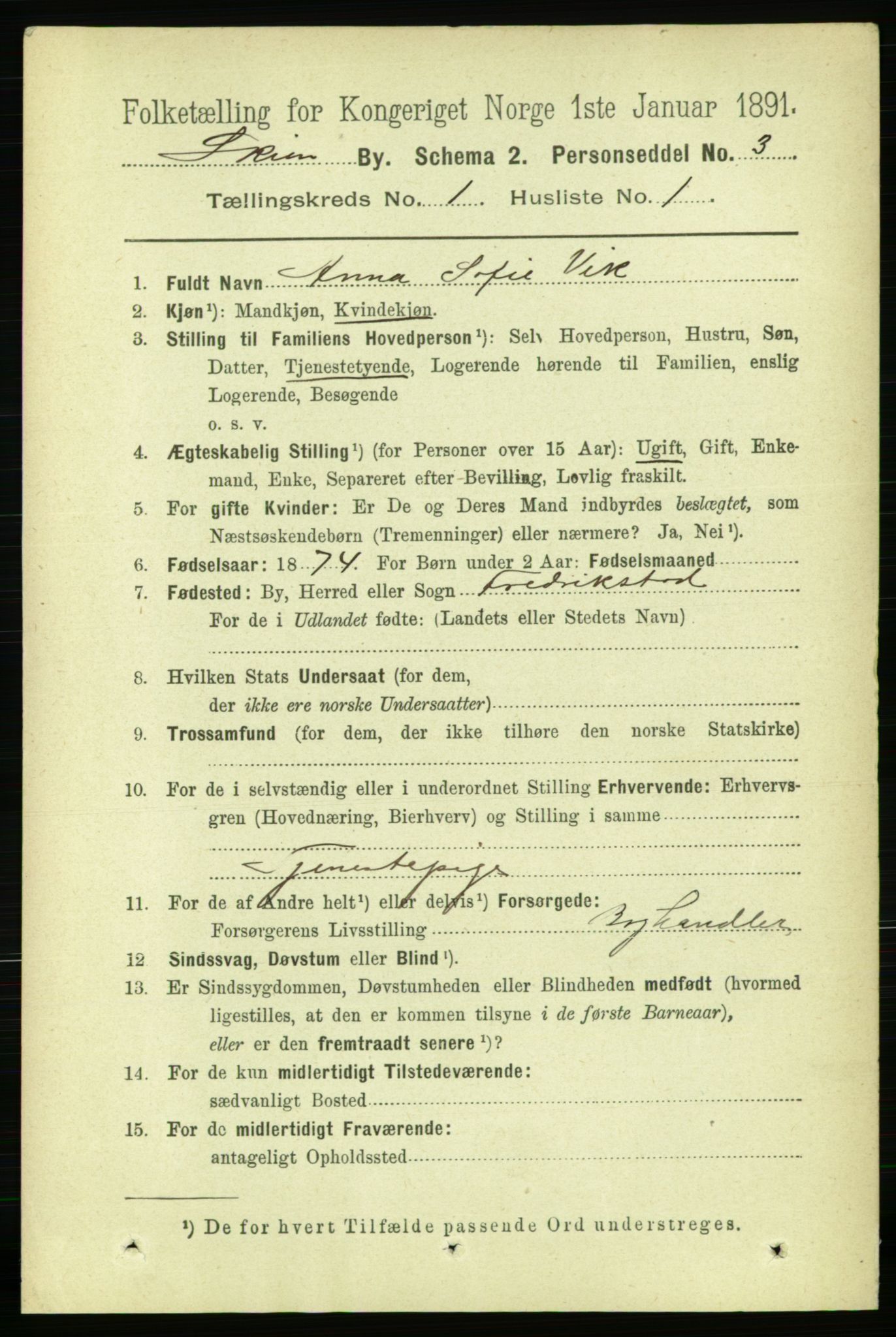 RA, 1891 census for 0806 Skien, 1891, p. 2149