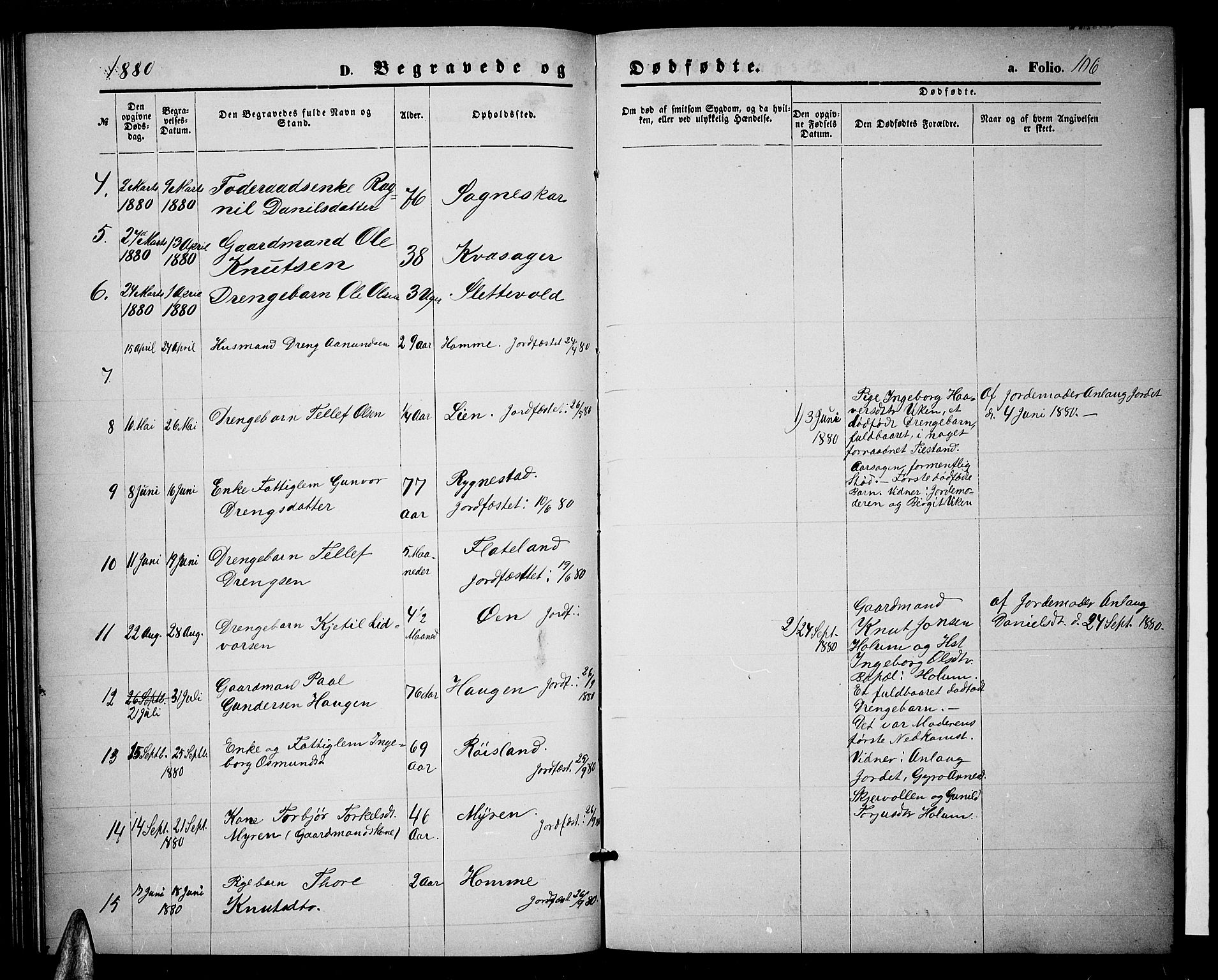 Valle sokneprestkontor, SAK/1111-0044/F/Fb/Fbc/L0003: Parish register (copy) no. B 3, 1871-1890, p. 106