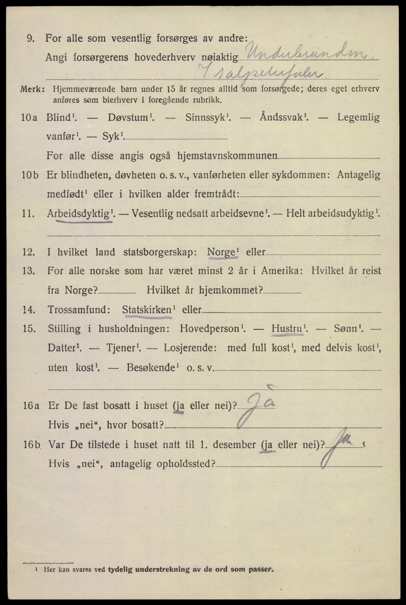 SAKO, 1920 census for Tinn, 1920, p. 9637