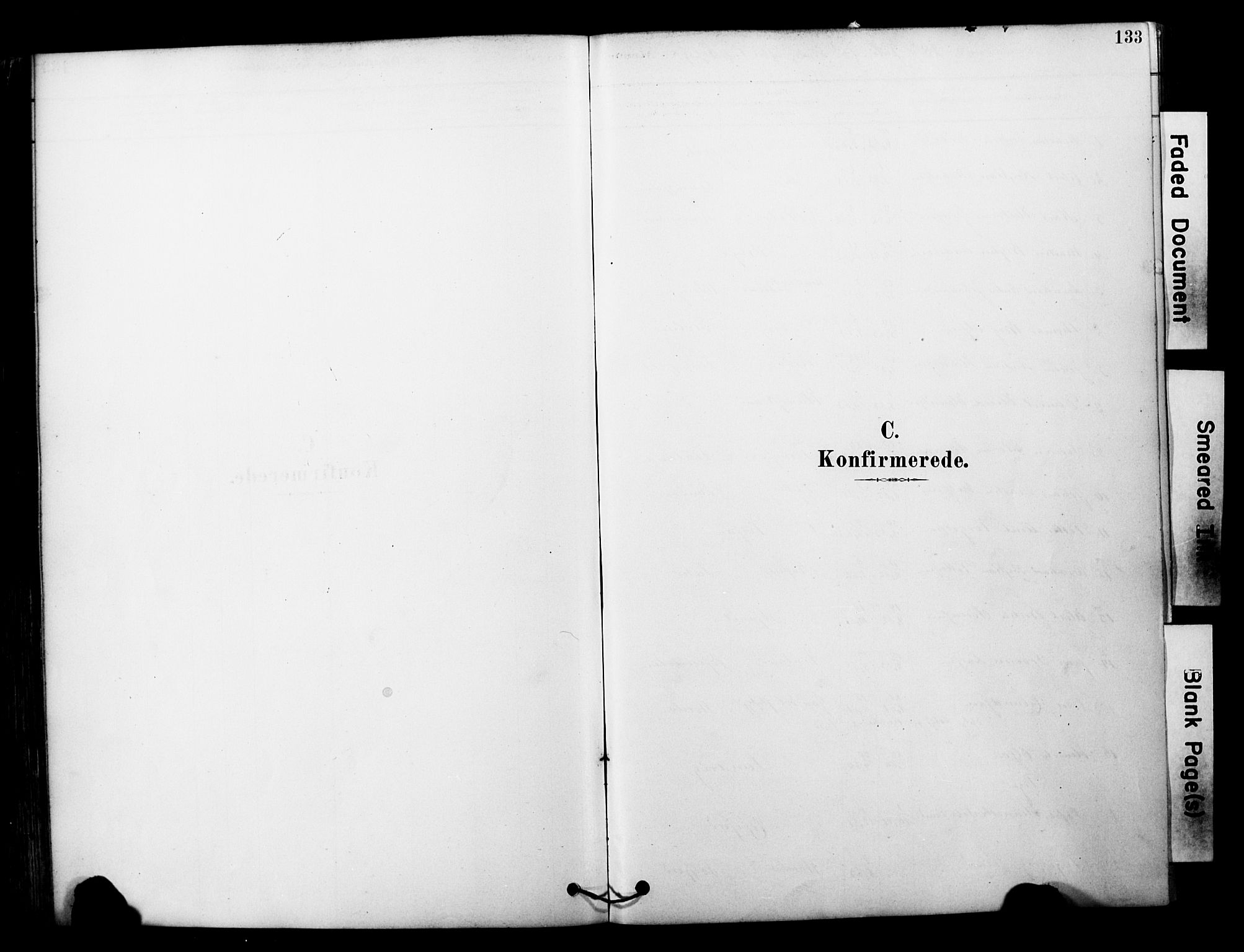 Tranøy sokneprestkontor, SATØ/S-1313/I/Ia/Iaa/L0011kirke: Parish register (official) no. 11, 1878-1904, p. 133