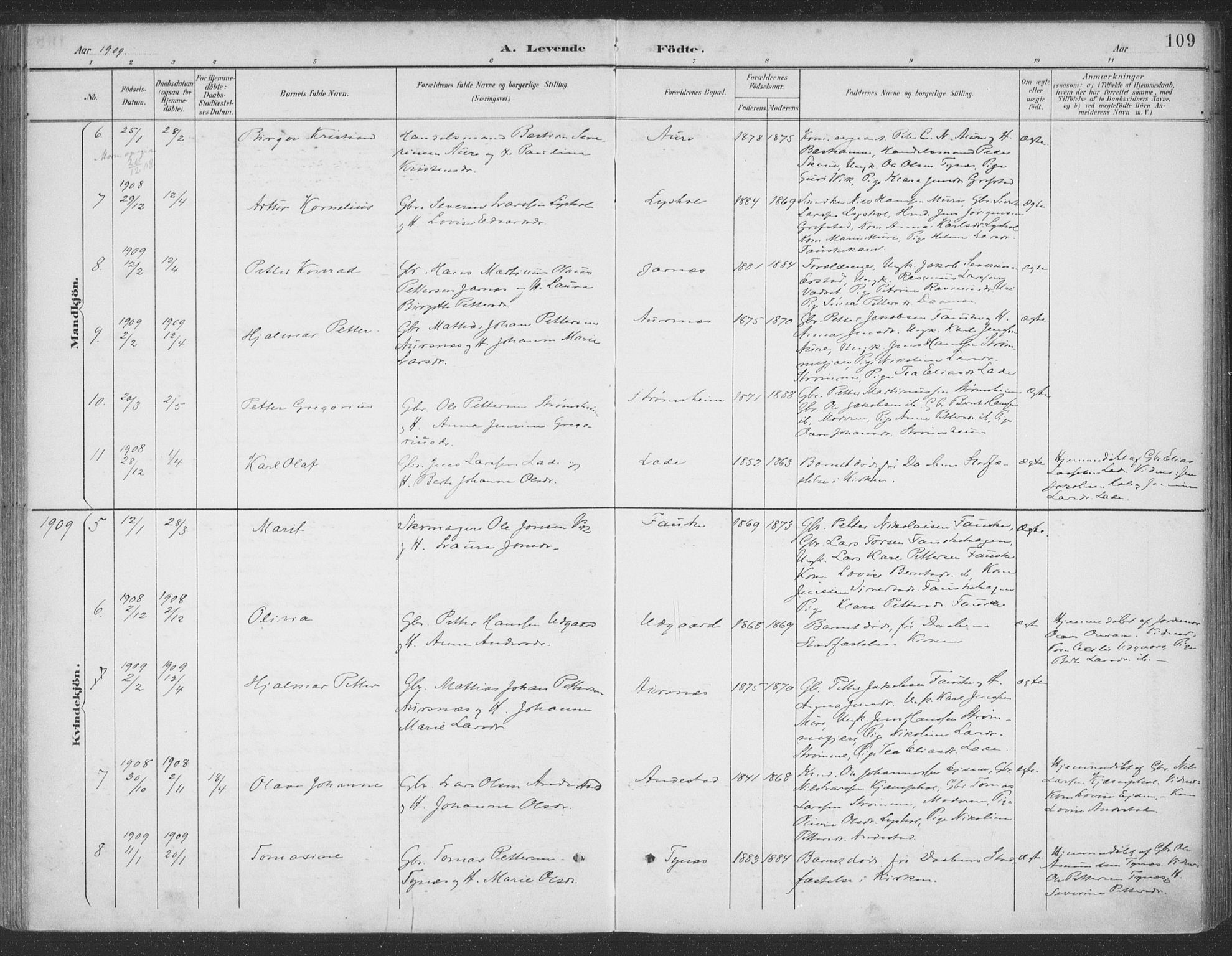 Ministerialprotokoller, klokkerbøker og fødselsregistre - Møre og Romsdal, AV/SAT-A-1454/523/L0335: Parish register (official) no. 523A02, 1891-1911, p. 109