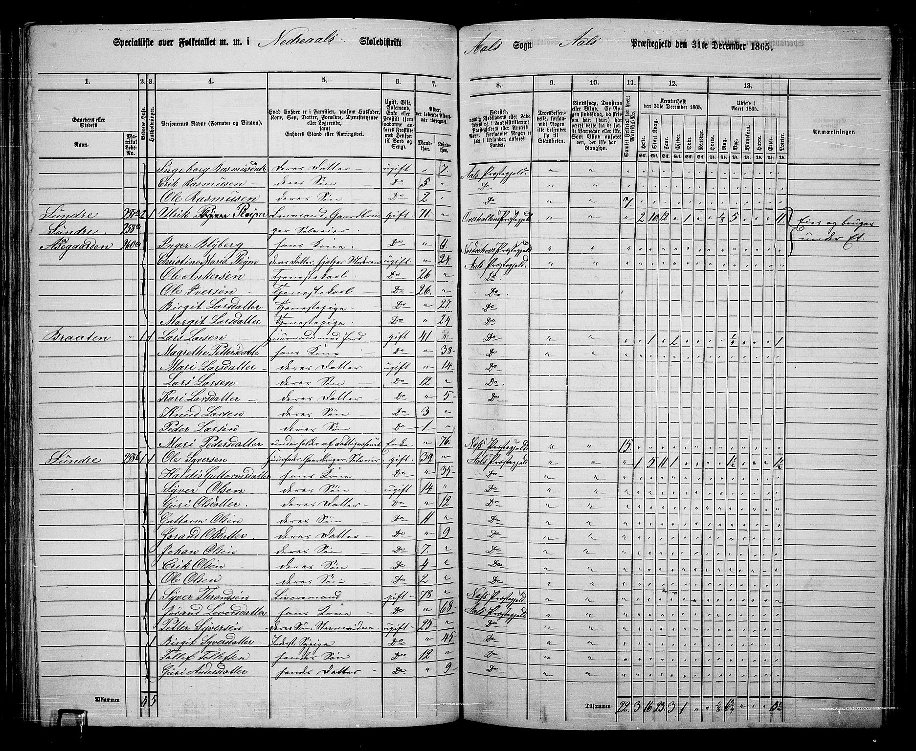 RA, 1865 census for Ål, 1865, p. 142