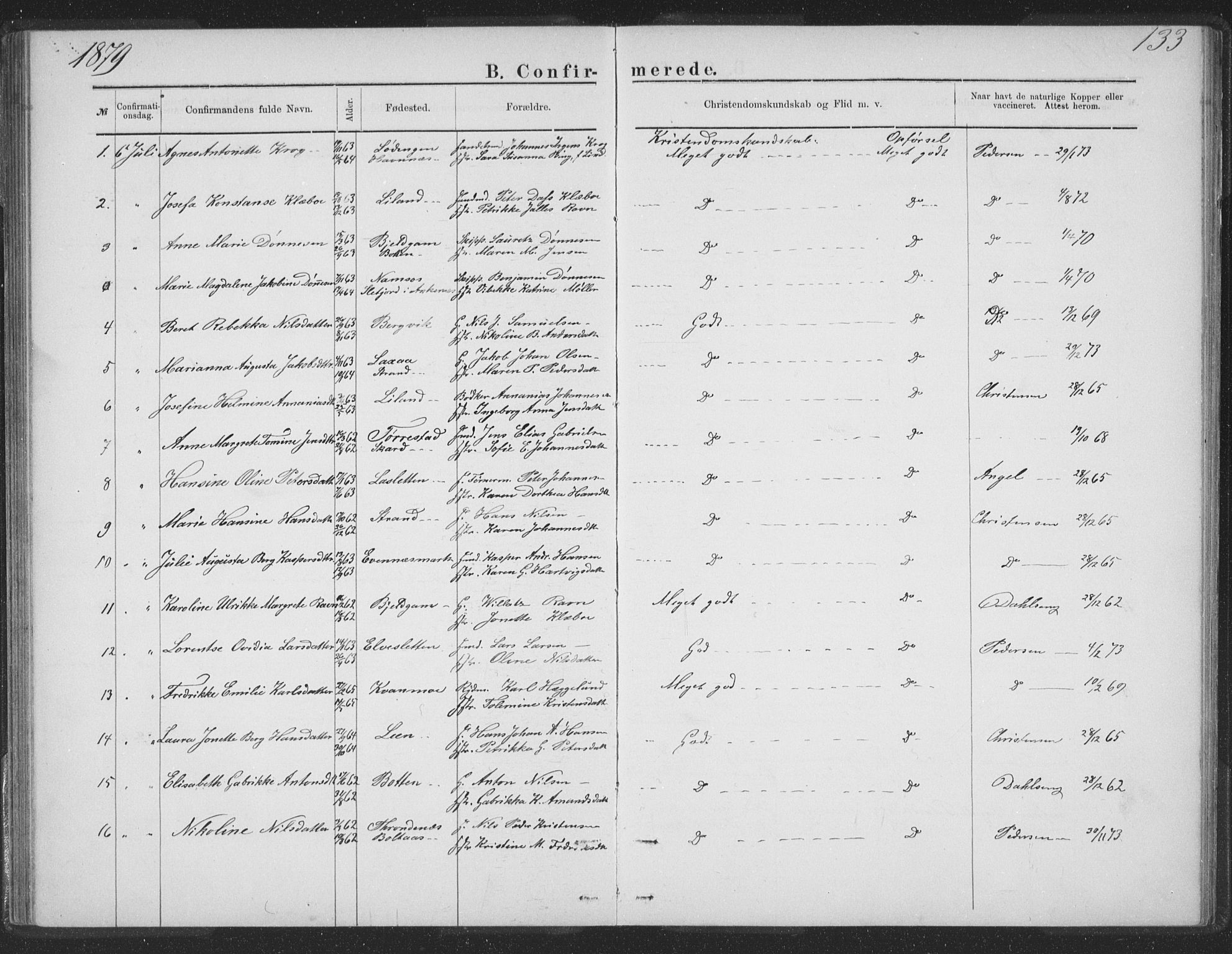 Ministerialprotokoller, klokkerbøker og fødselsregistre - Nordland, SAT/A-1459/863/L0913: Parish register (copy) no. 863C03, 1877-1885, p. 133