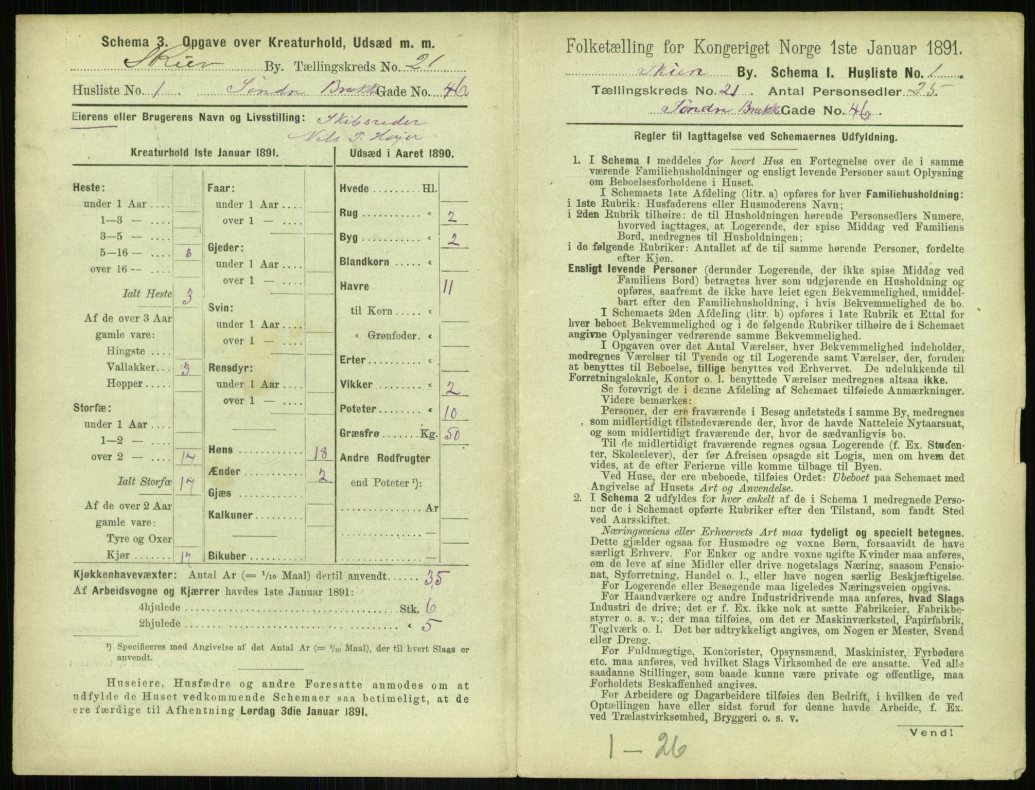 RA, 1891 census for 0806 Skien, 1891, p. 796