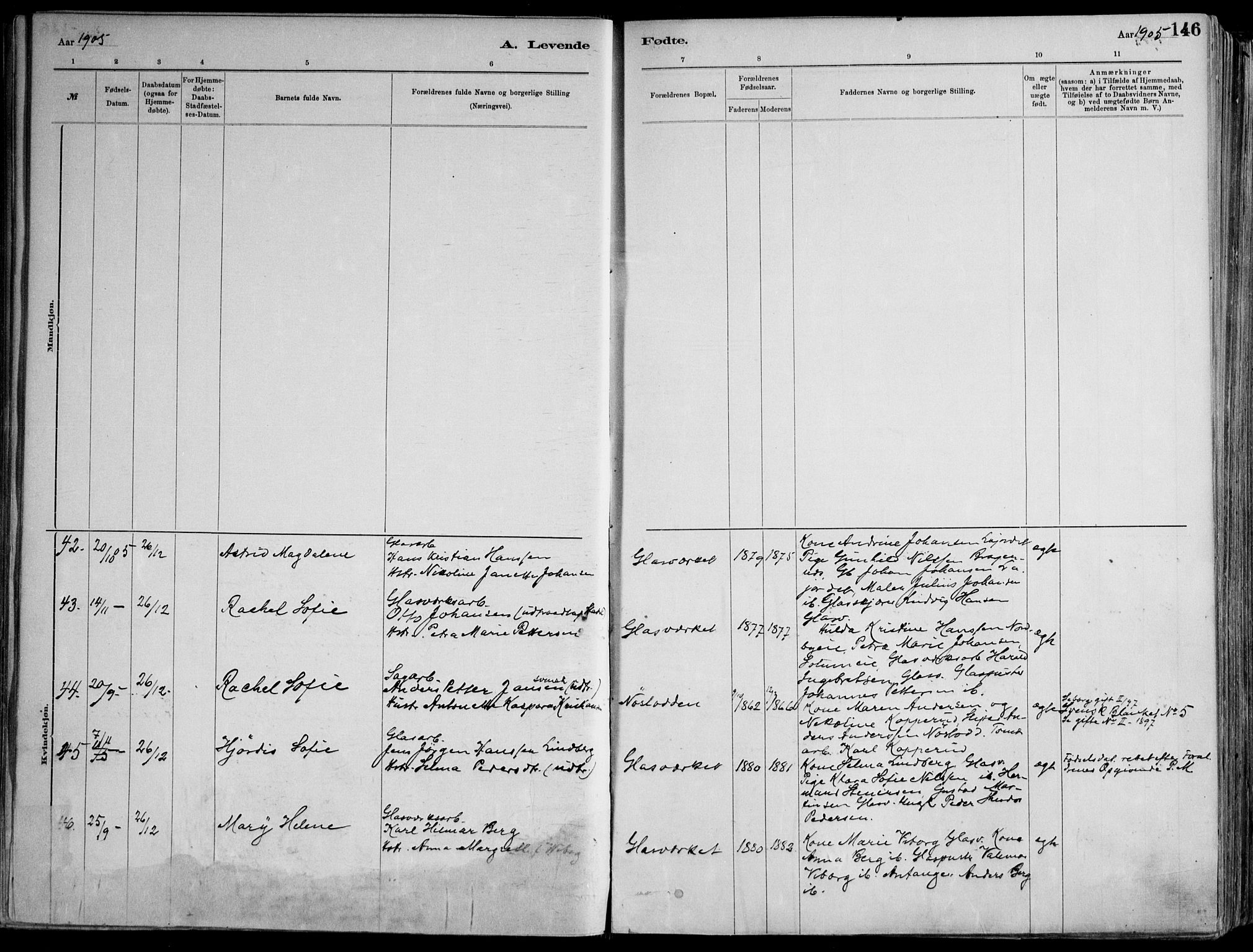 Skoger kirkebøker, AV/SAKO-A-59/F/Fa/L0006: Parish register (official) no. I 6, 1885-1910, p. 146