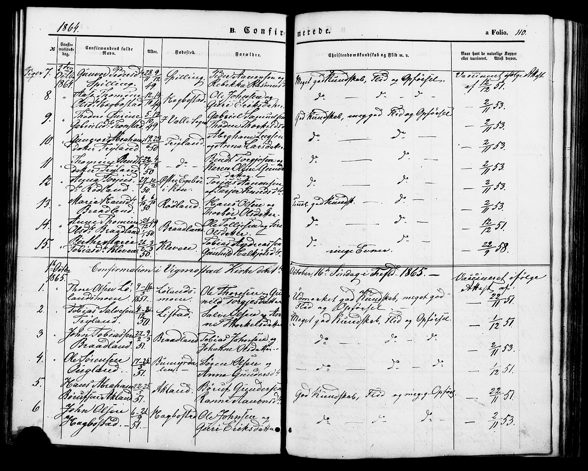 Nord-Audnedal sokneprestkontor, AV/SAK-1111-0032/F/Fa/Fab/L0002: Parish register (official) no. A 2, 1859-1882, p. 110