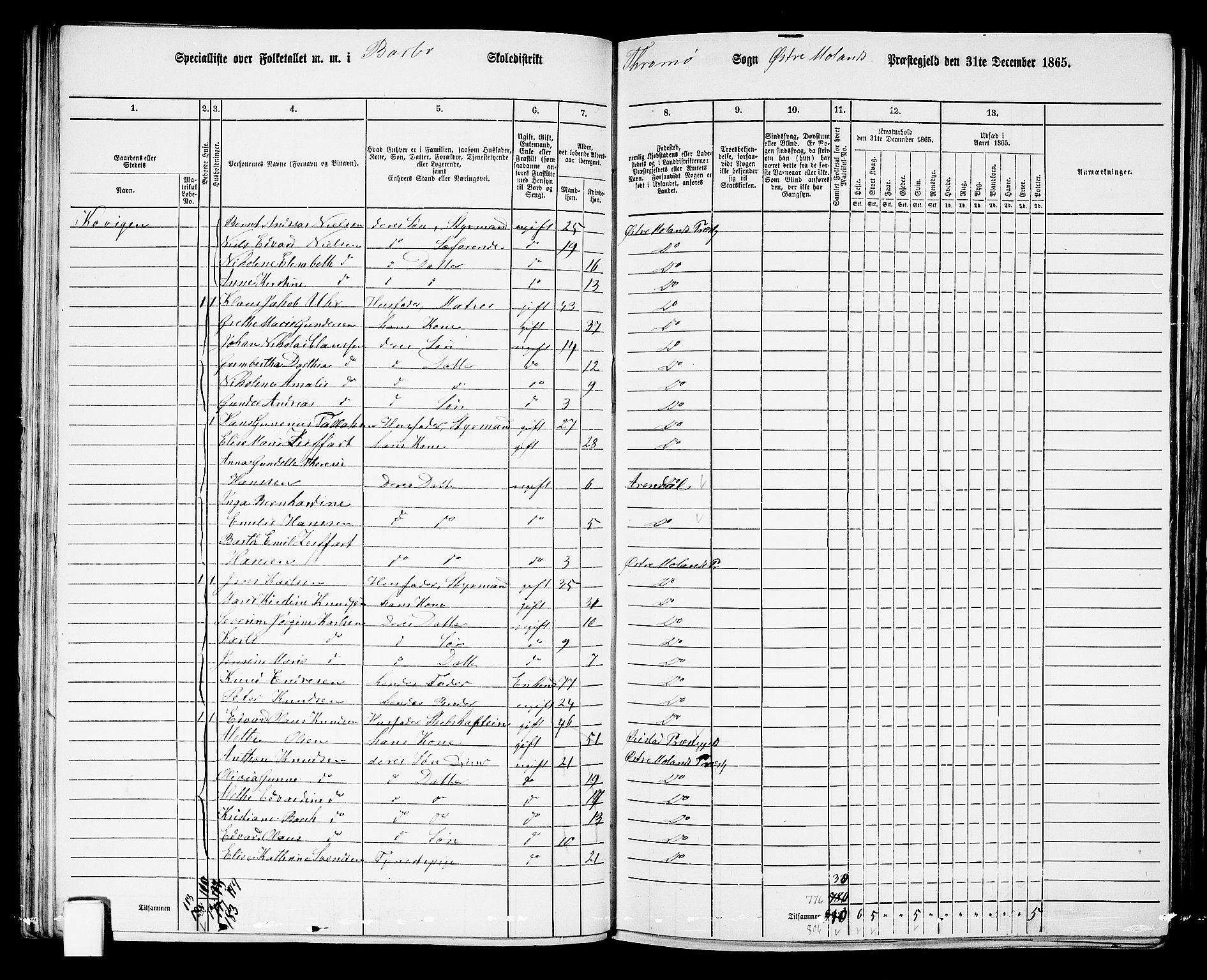 RA, 1865 census for Austre Moland, 1865, p. 87