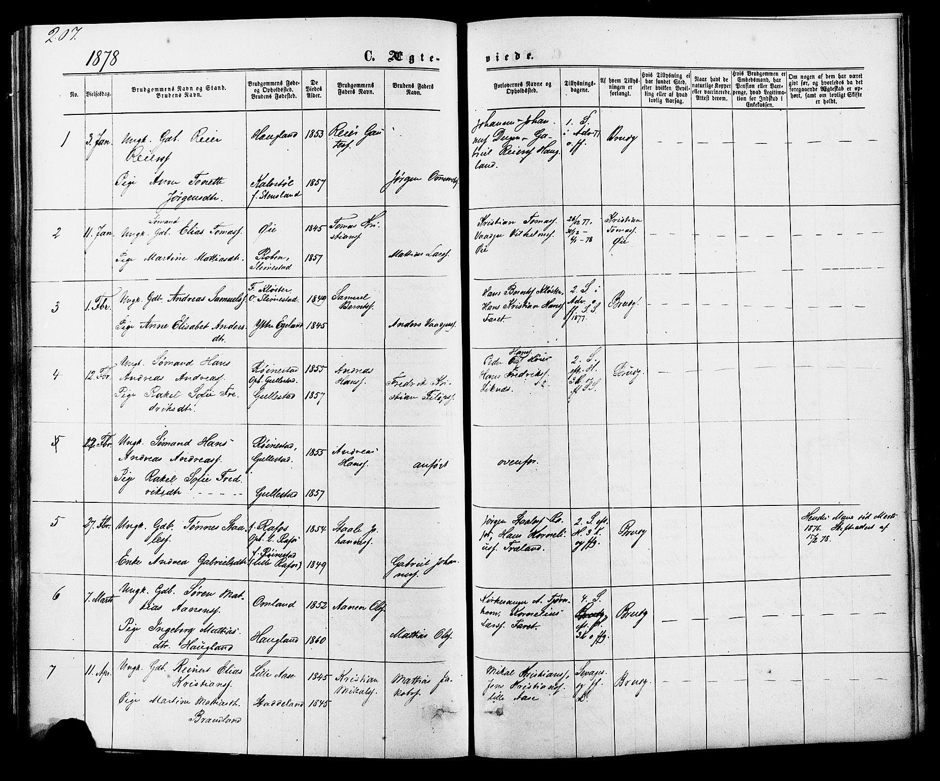 Kvinesdal sokneprestkontor, AV/SAK-1111-0026/F/Fa/Fab/L0007: Parish register (official) no. A 7, 1870-1885, p. 207